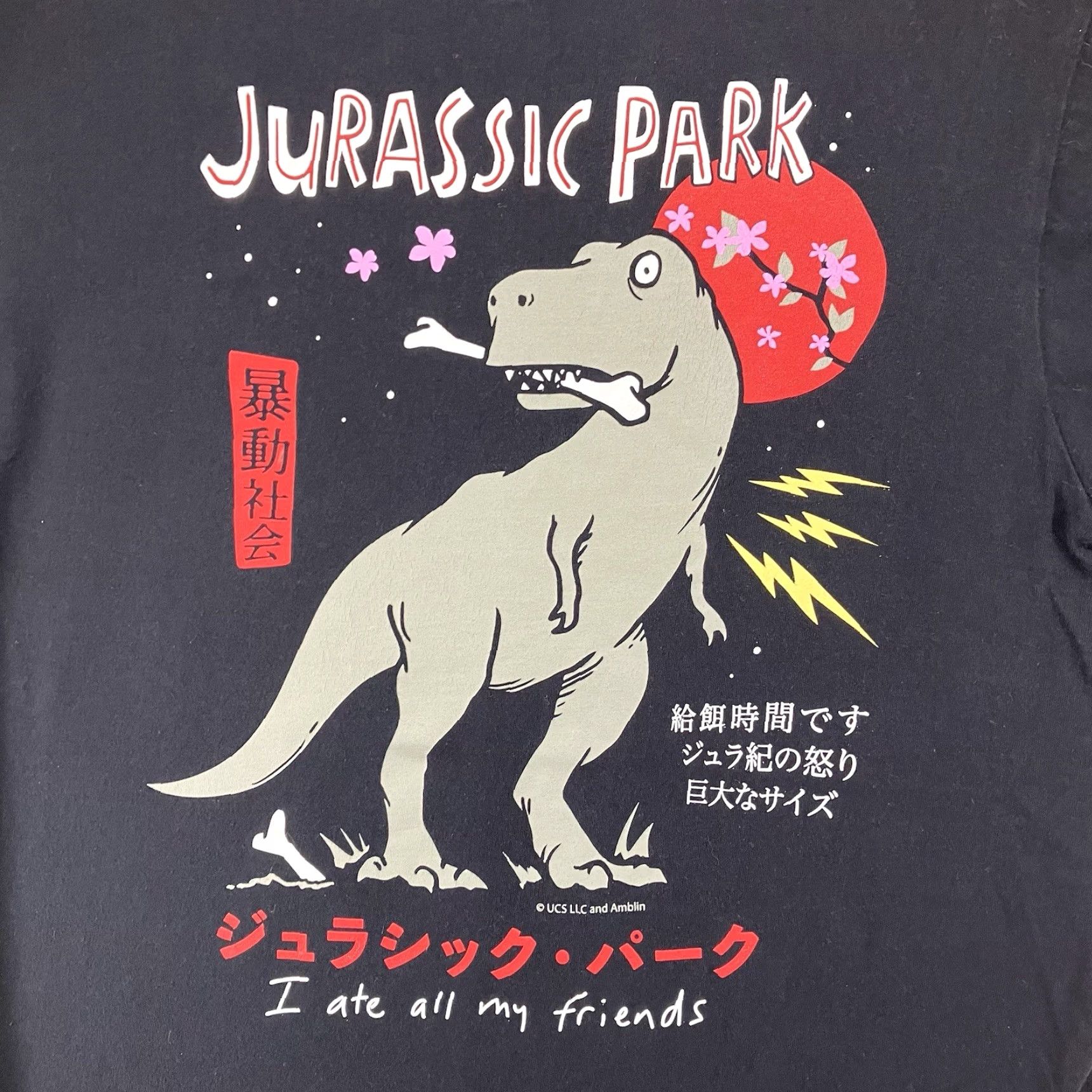 Vintage Riot Society Jurassic Park T-Shirt Medium Black Graphic Print Funny T-Rex Unisex Size US M / EU 48-50 / 2 - 3 Thumbnail