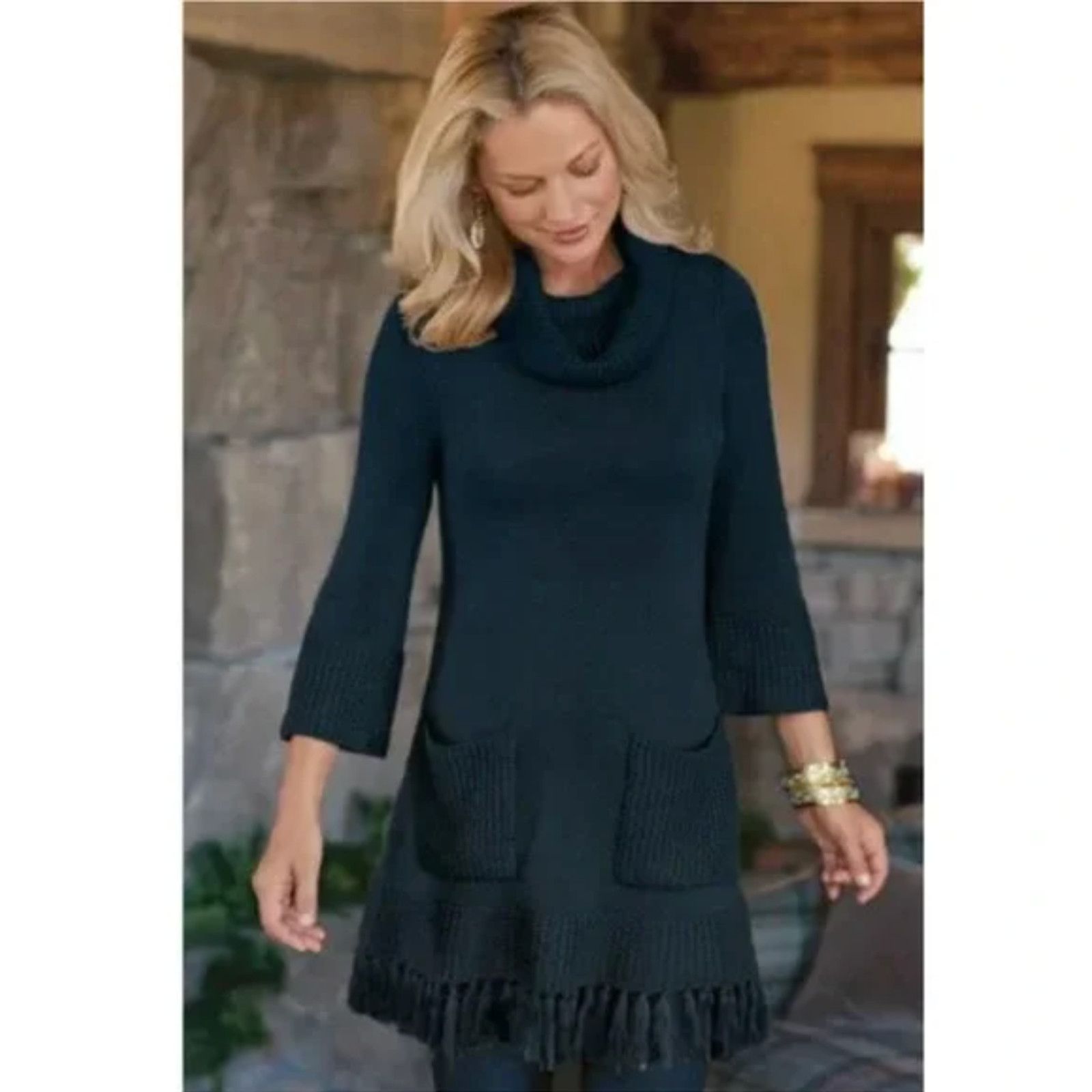 slim fit dress slacks SOFT SURROUNDINGS Size S Multi-Color Women Dress main image 1