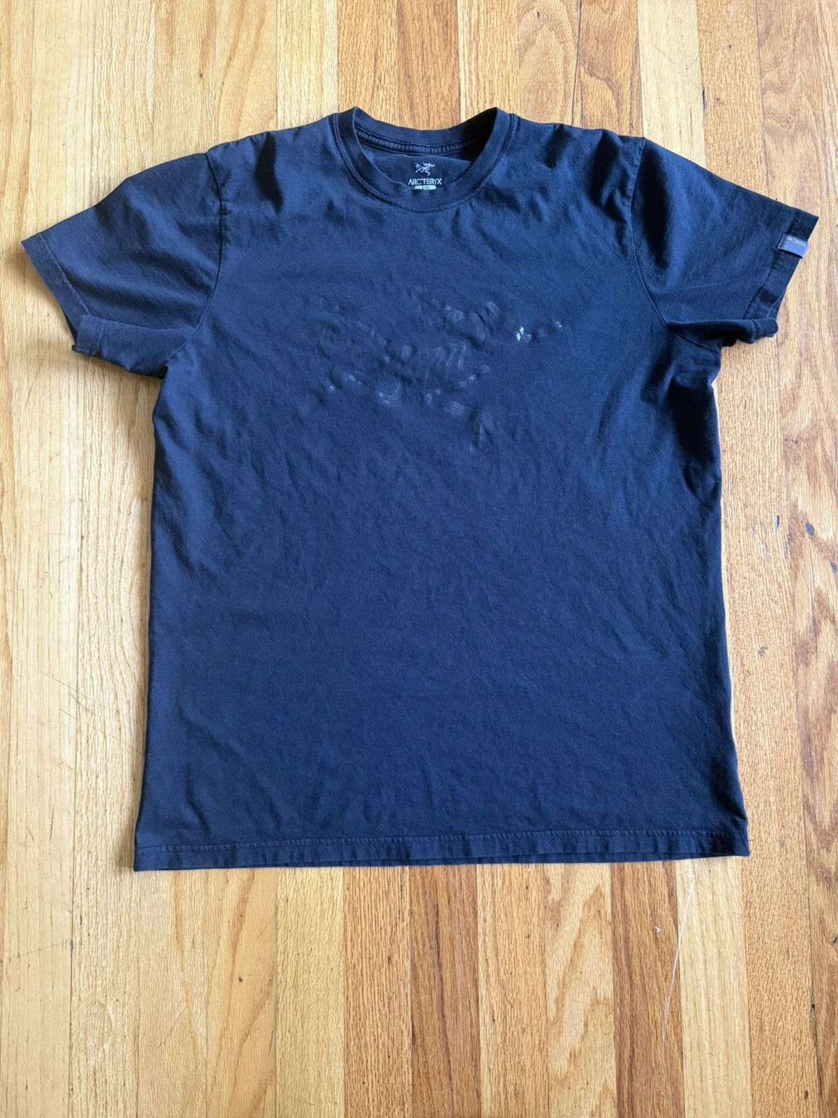 Arc’teryx skeletal big logo short sleeve t-shirt rare