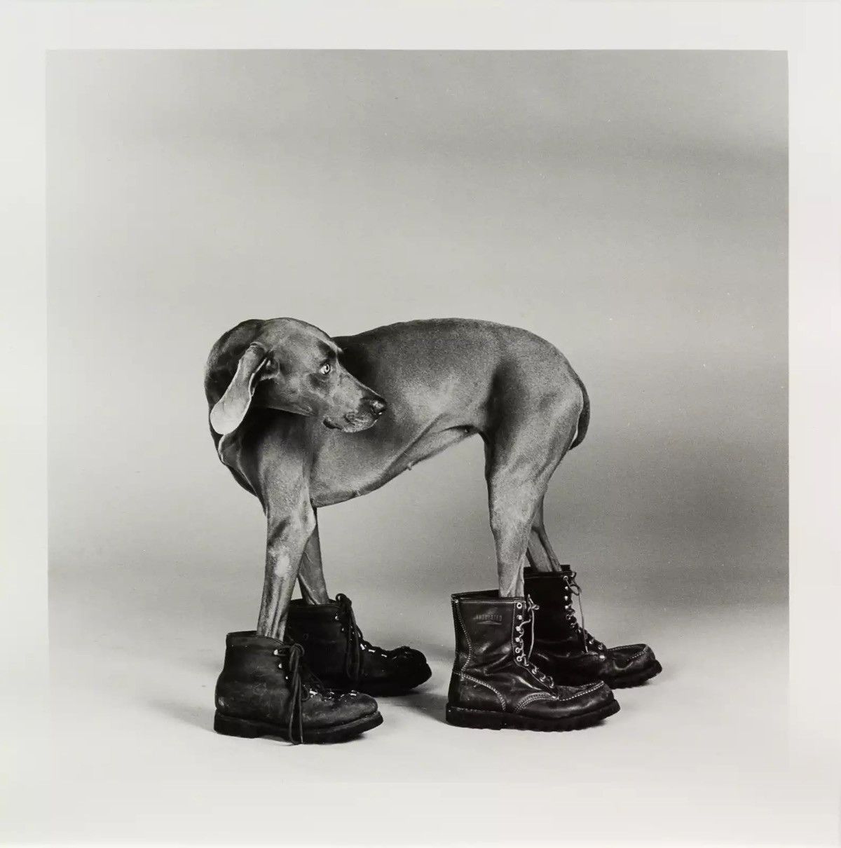 Jun Takahashi × Undercover Undercover AW94 Ce Soulier Dog with Boots Shirt Size US M / EU 48-50 / 2 - 6 Thumbnail