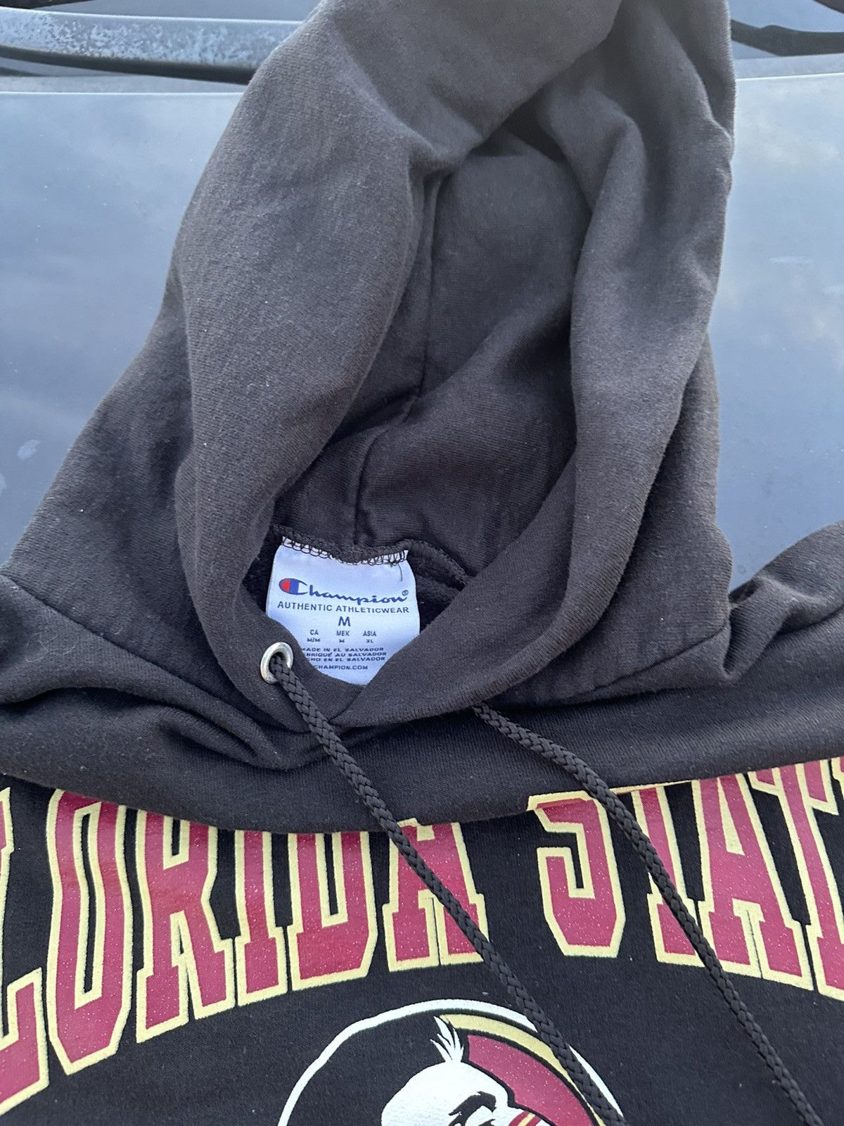Other FLORIDA STATE HOODIE(sold) Size US M / EU 48-50 / 2 - 2 Thumbnail