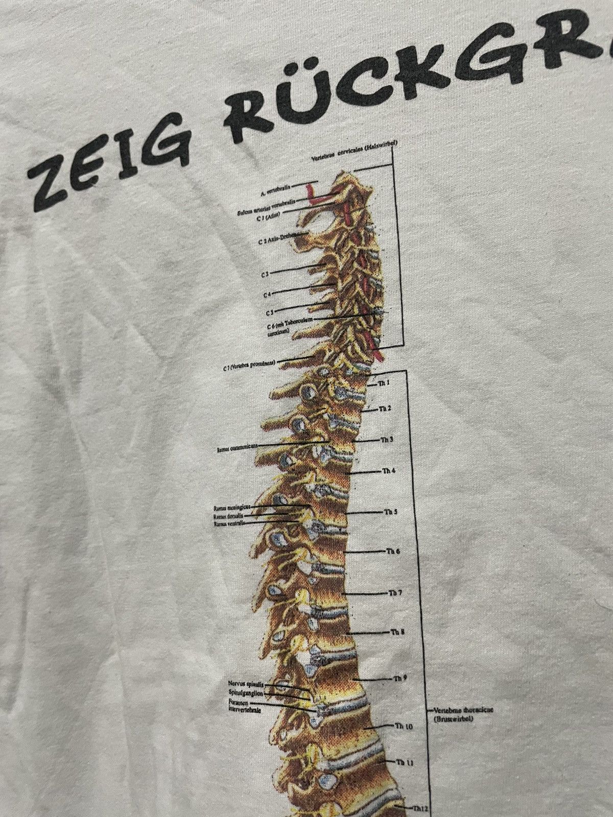Arts & Science × Band Tees × Vintage Skeleton Anatomy Rudiger 2010 Spinal Collum Science T Shirt Size US L / EU 52-54 / 3 - 5 Thumbnail