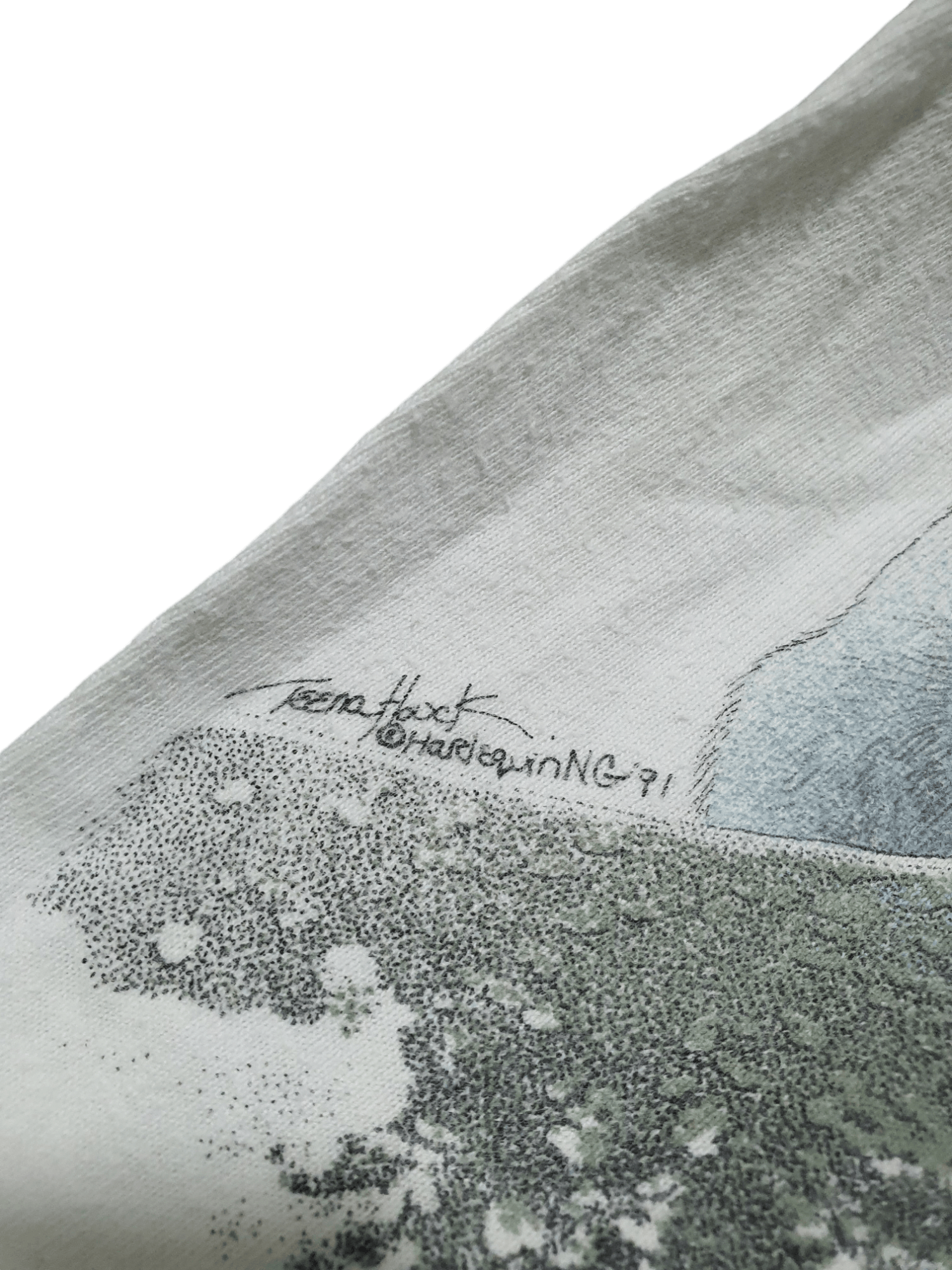 Hanes × Vintage VINTAGE HABITAT HANES BEEFY-T 20/28.5 T-SHIRT Size US M / EU 48-50 / 2 - 4 Thumbnail