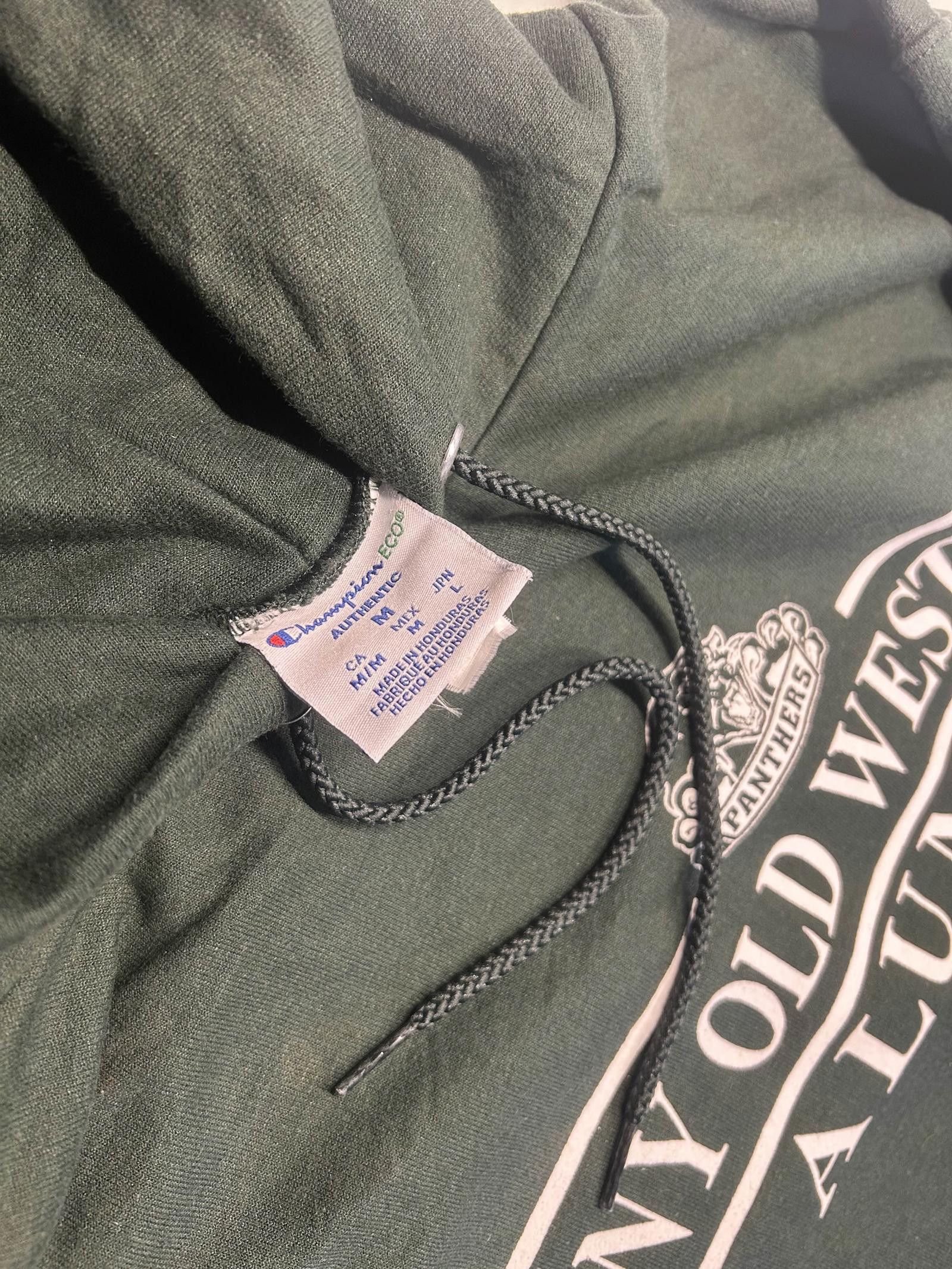 Champion Vintage Champion SUNY Old Westbury Hoodie M Green Size US M / EU 48-50 / 2 - 4 Thumbnail