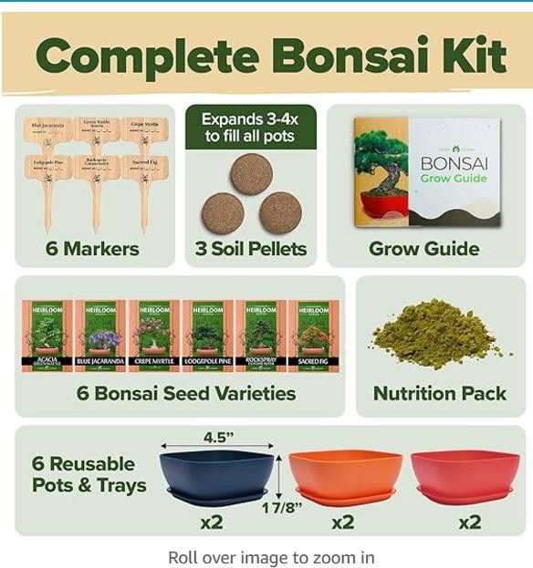 NBDN Nobrandedon Complete Bonsai Starter Kit w/ 6 Seed Varieties - Unique Size ONE SIZE - 2 Thumbnail