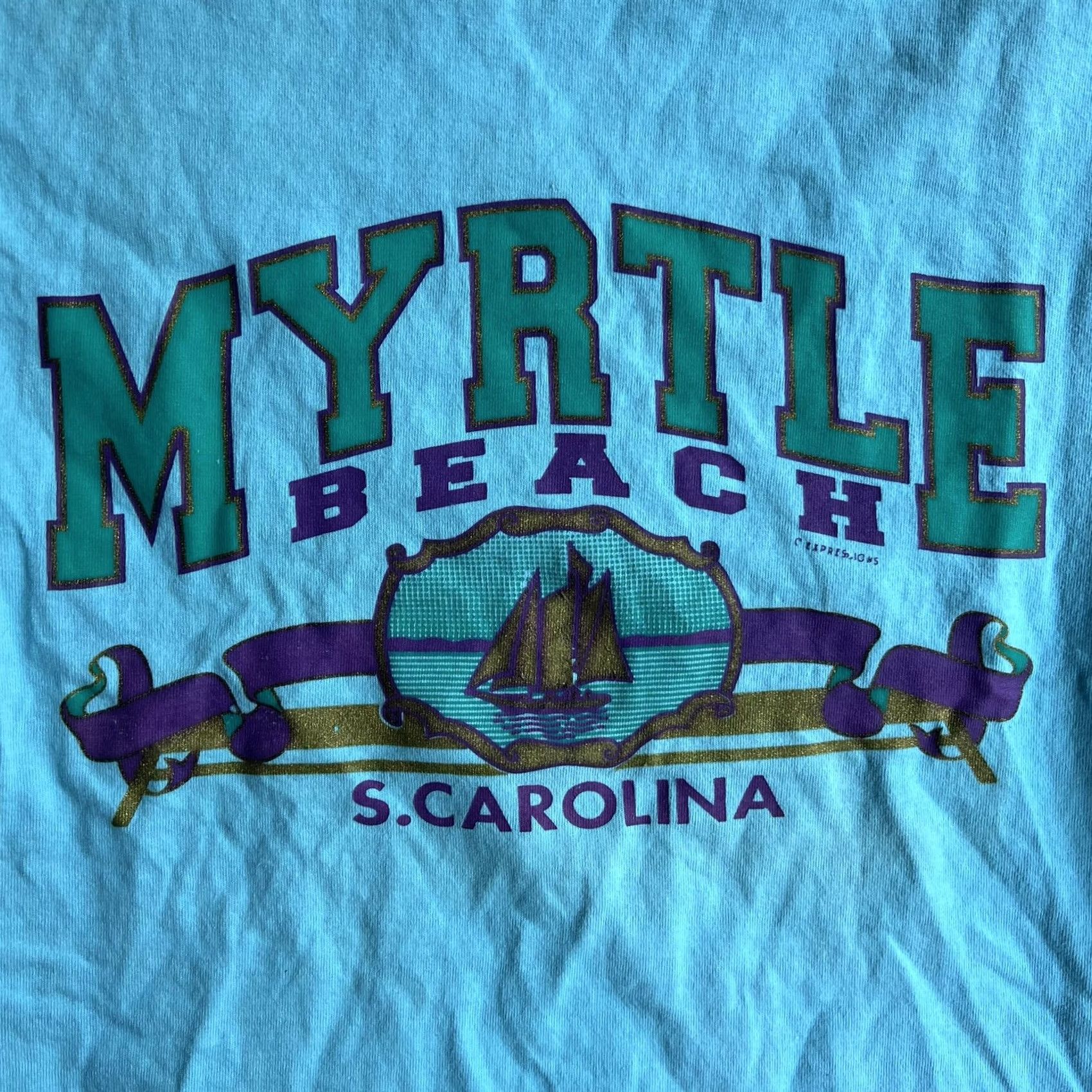 Fruit Of The Loom VINTAGE Fruit Of The Loom T-Shirt Mens Medium Myrtle Beach S. Carolina Graphic Print Crew Neck Short Sleeve USA Blue Turquoise Back Plain Front Size US M / EU 48-50 / 2 - 2 Thumbnail