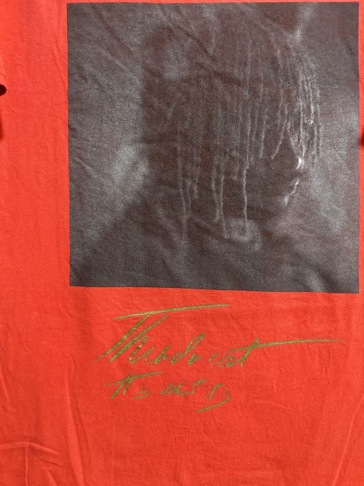 Vintage Vintage Thunder Cat It Is What It is Faded Tee Size US M / EU 48-50 / 2 - 2 Thumbnail