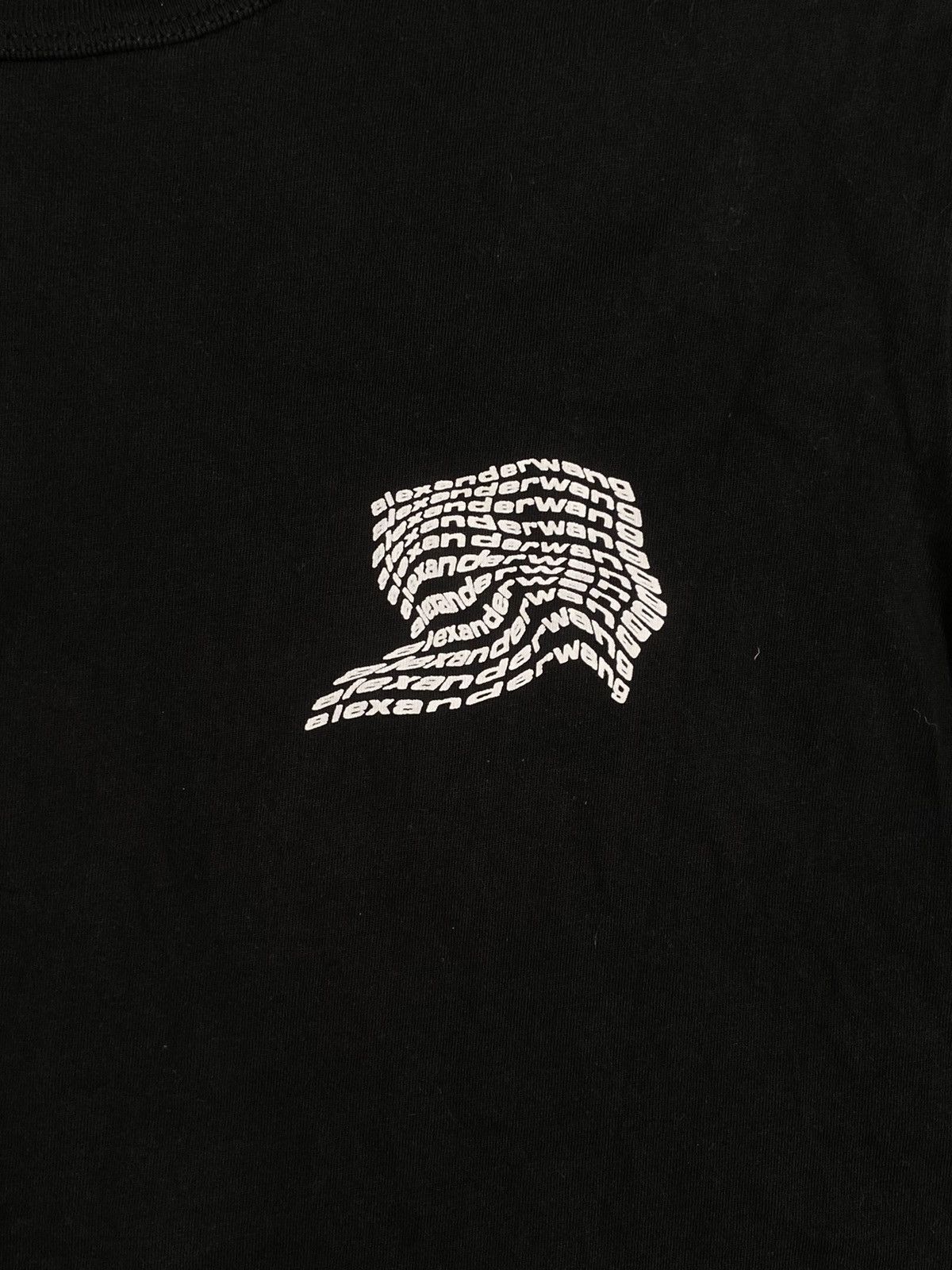 Alexander Wang Alexander wang tshirt tee Size US L / EU 52-54 / 3 - 2 Thumbnail