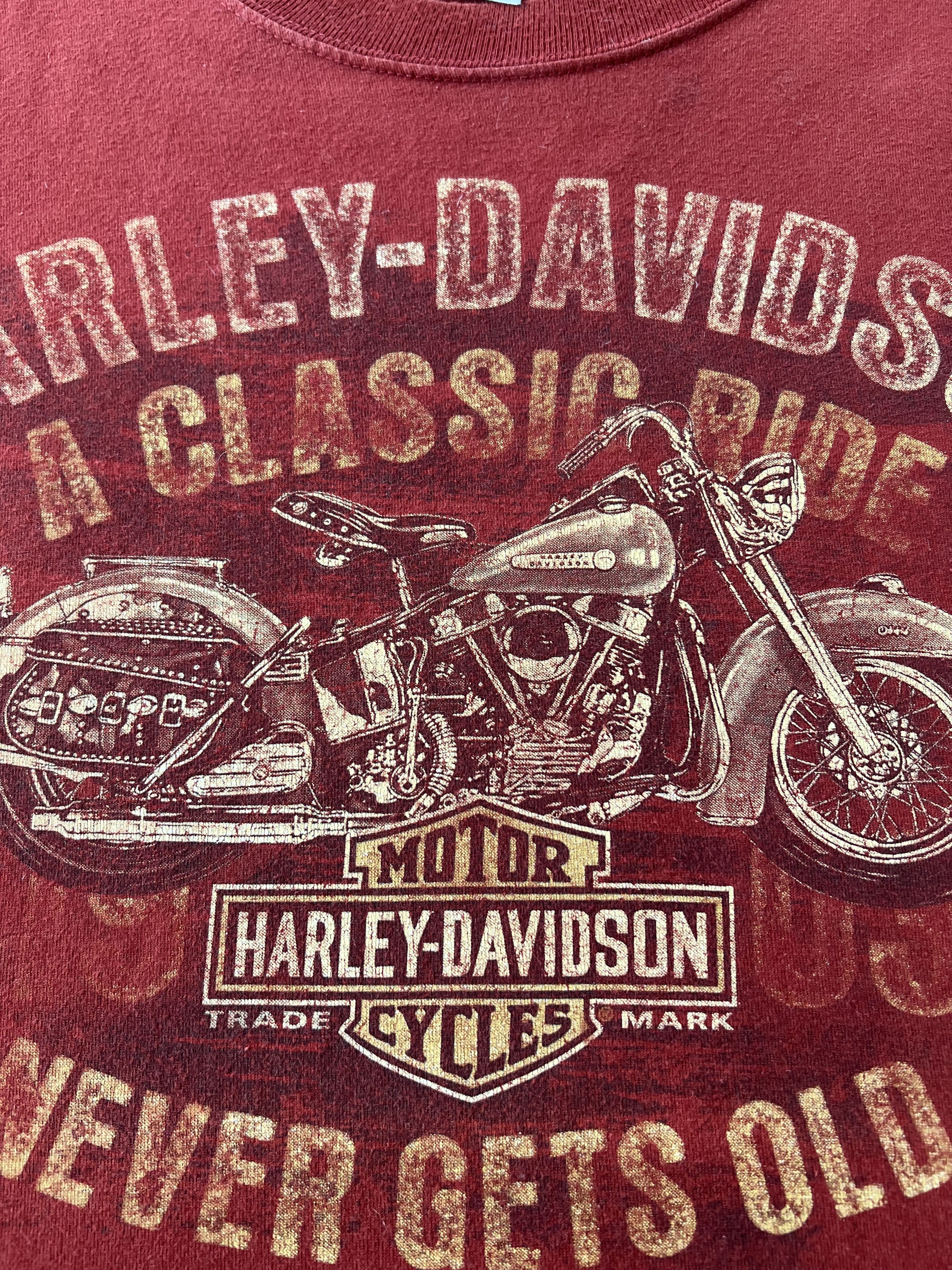 Harley Davidson Vintage 2015 Harley Davidson Center of Alsace France T-shirt Size US L / EU 52-54 / 3 - 4 Thumbnail