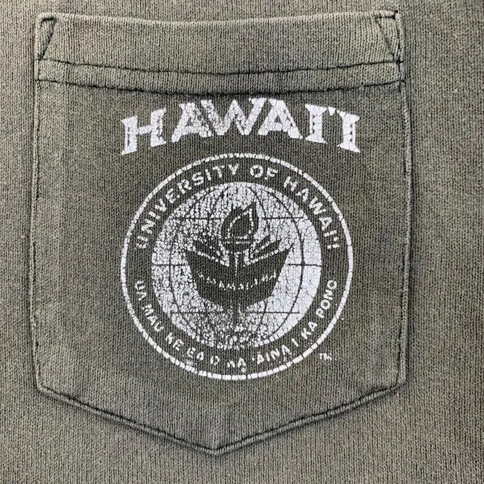 Vintage Vintage UNIVERSITY OF HAWAII Natural Faded Thrashed TeeShirt Size US S / EU 44-46 / 1 - 4 Thumbnail