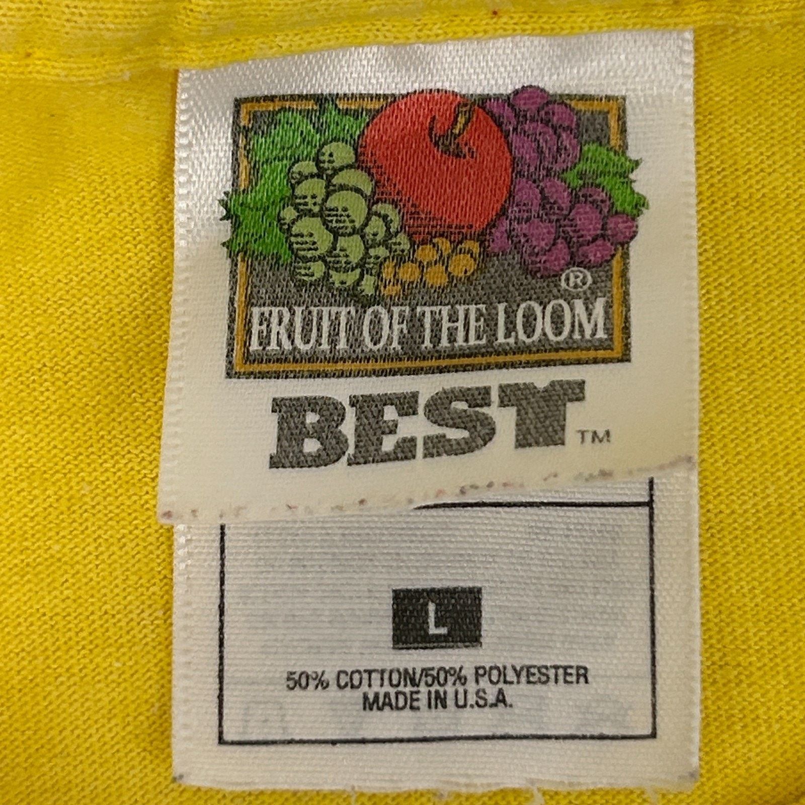 Fruit Of The Loom Vintage Y2Ks NYCY Archdiocese of Dubuque T Shirt L Large Size US L / EU 52-54 / 3 - 7 Thumbnail