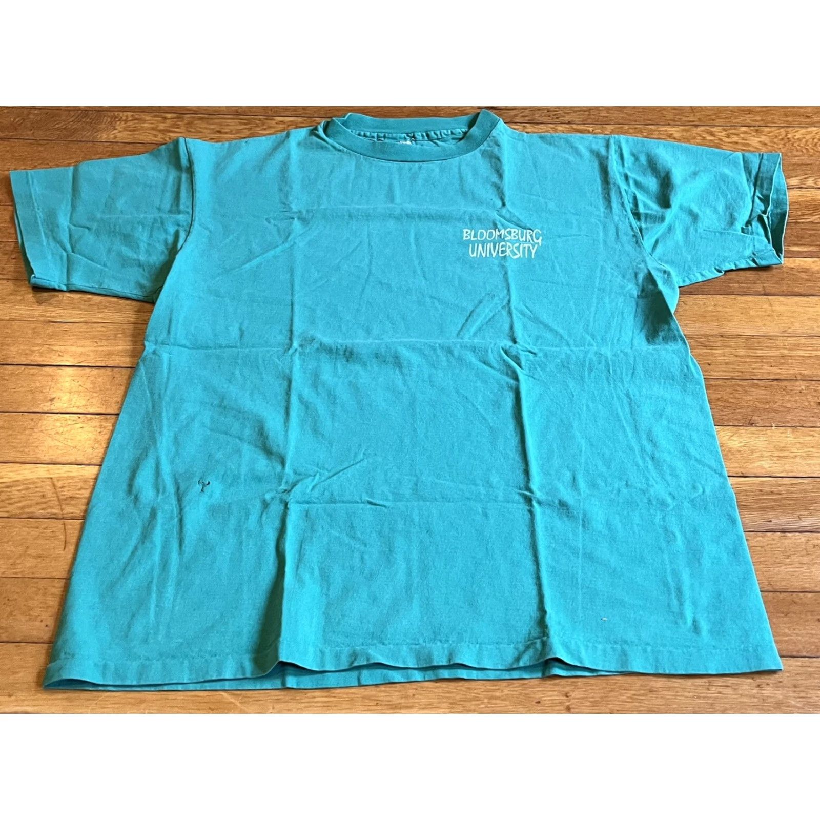 Anvil VINTAGE Anvil Bloomsburg University Shirt Mens XL Green 90s College Crew Neck Short Sleeve Jersey Cotton Logo T-Shirt Size US XL / EU 56 / 4 - 2 Thumbnail