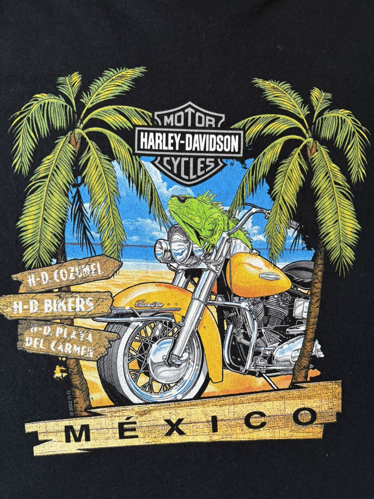 Harley Davidson Harley Davidson Mexico Biker T-shirt Large Size US L / EU 52-54 / 3 - 5 Thumbnail