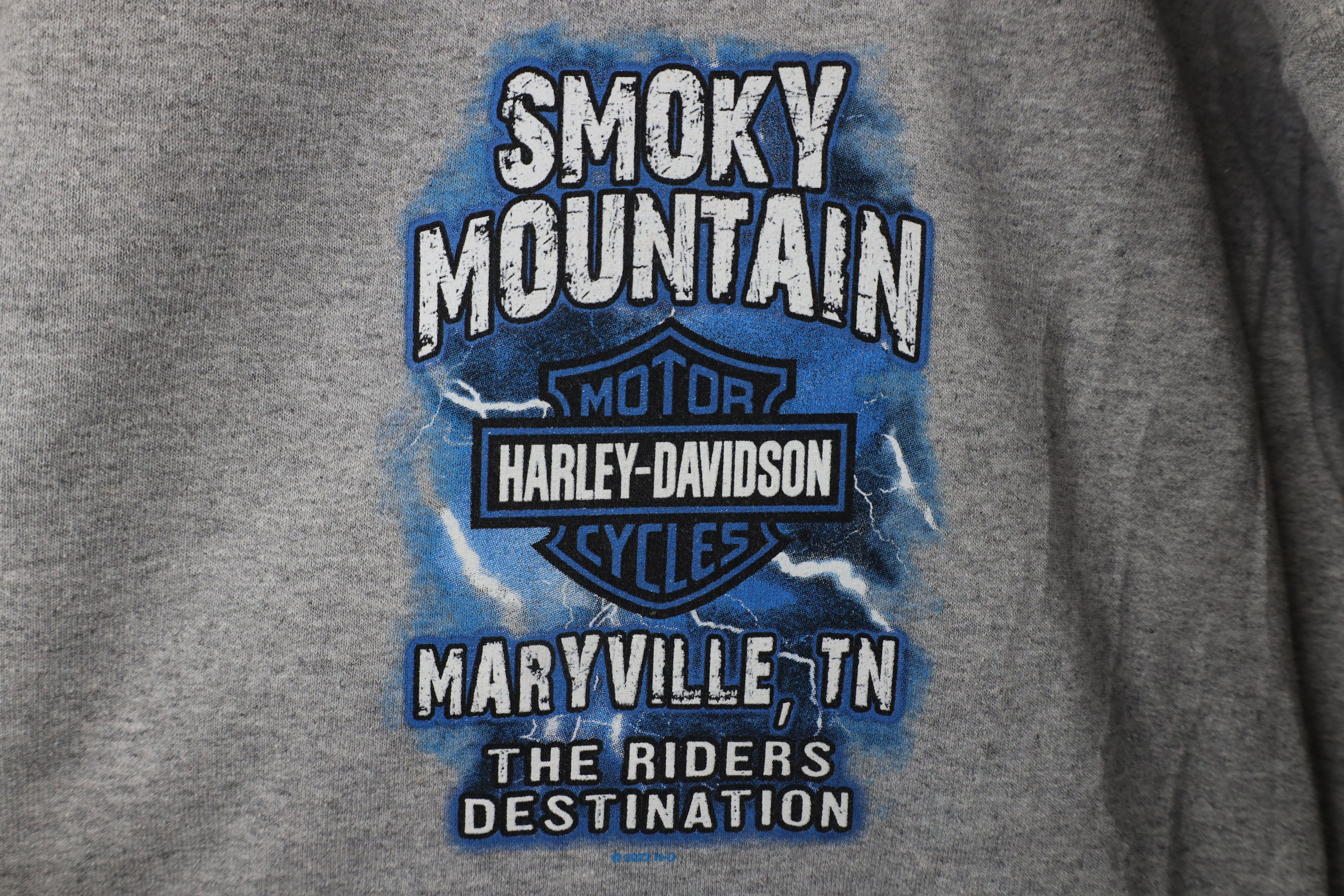 Harley Davidson Harley Davidson Mountain Dragon Crewneck Sweatshirt Gray Size US XL / EU 56 / 4 - 4 Thumbnail
