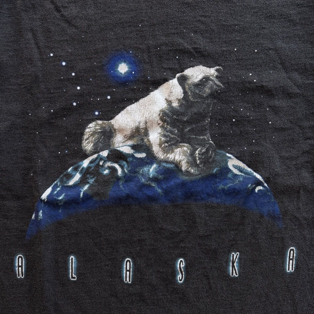 Vintage 2001 Vintage Alaska Polar Bear World Tee Size US XL / EU 56 / 4 - 4 Thumbnail