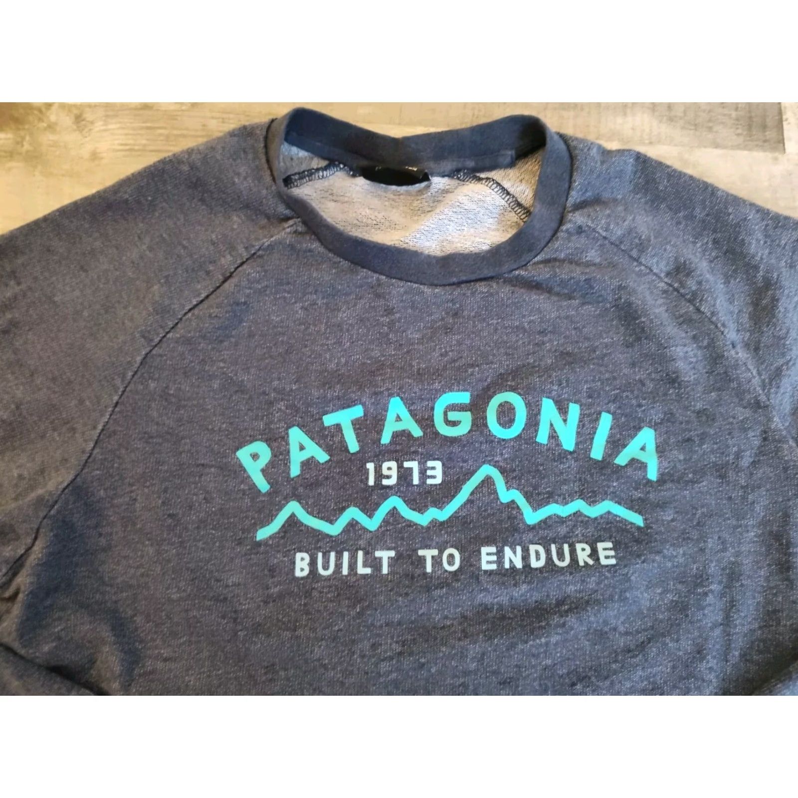 Patagonia Patagonia Womens Geologers Ahnya Crewneck Sweatshirt Size S Blue Logo Size S / US 4 / IT 40 - 3 Thumbnail