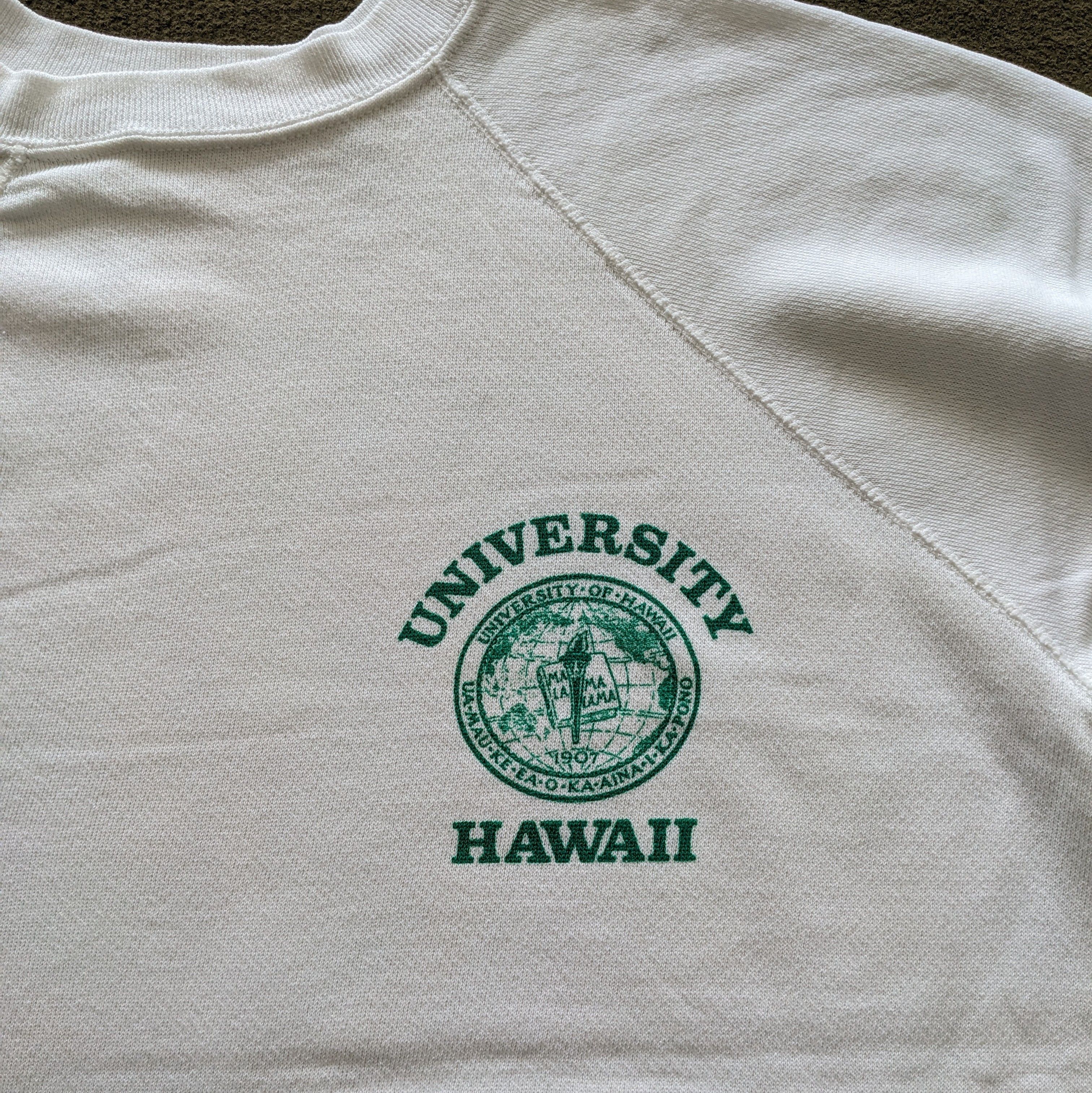 Other Vintage University Of Hawaii Sweatshirt Size US M / EU 48-50 / 2 - 5 Thumbnail