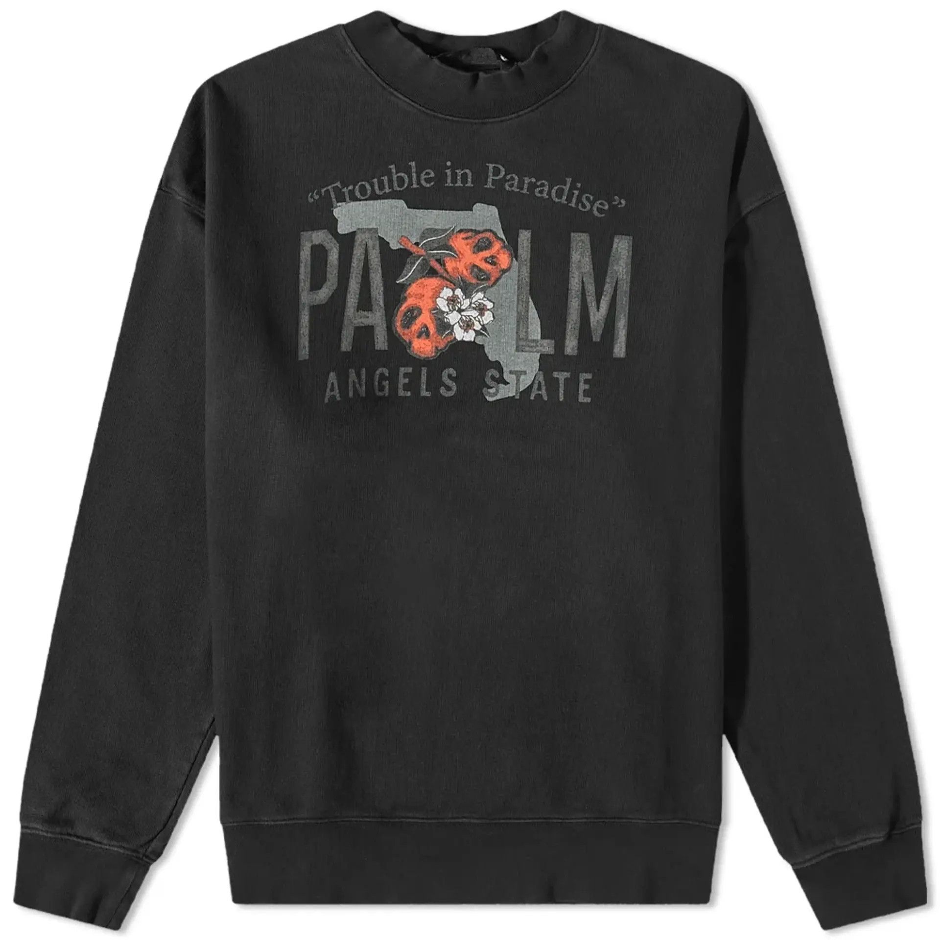 image of Palm Angels O1Mle0424 Sweatshirt In Black/green, Men's (Size XS)