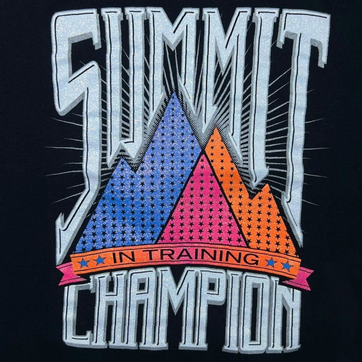 Gildan Gildan Summit Champion “In Training” Glitter Souvenir Graphic Black T-Shirt M Mens Shirt Medium Black Graphic Print 90s WL524 Size US M / EU 48-50 / 2 - 4 Thumbnail
