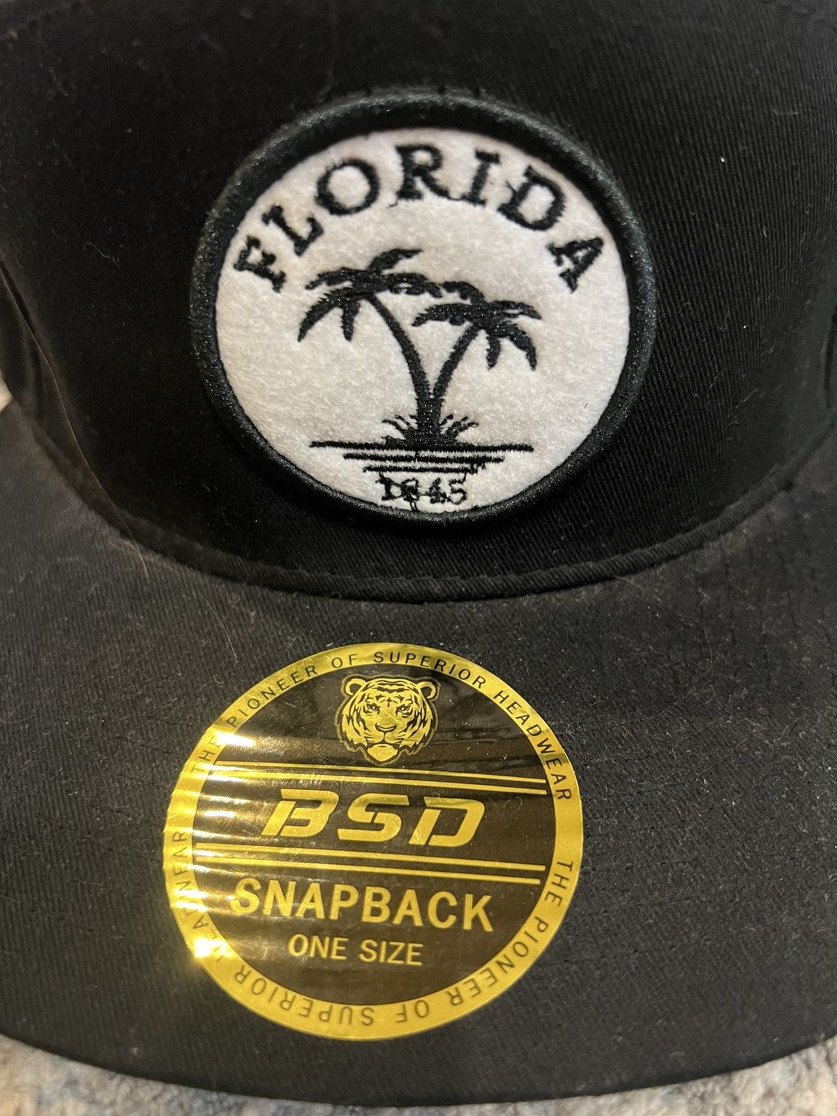 Other Black snap back Florida hat Size ONE SIZE - 2 Thumbnail