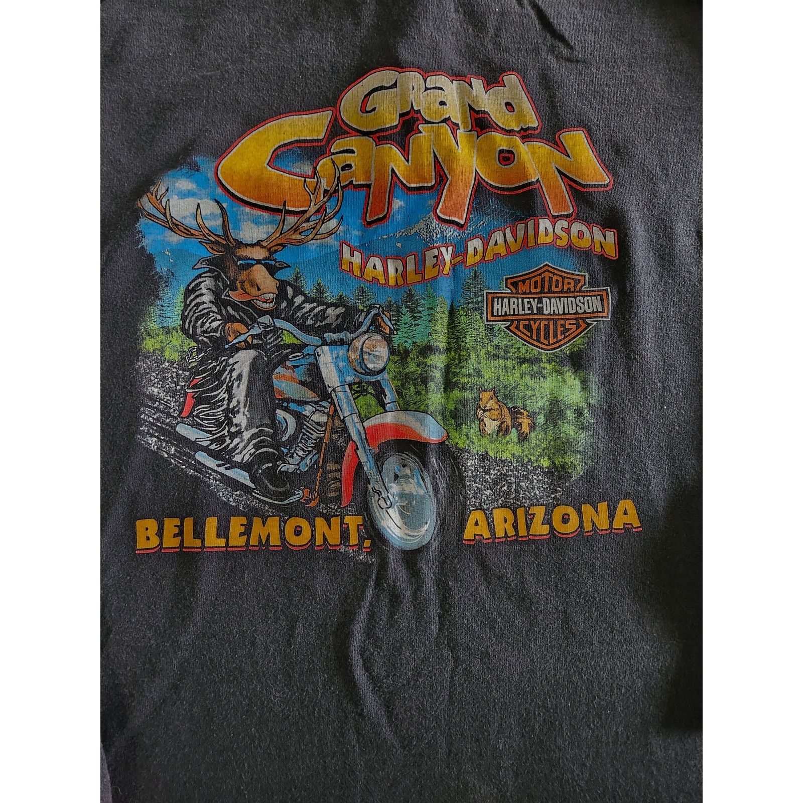 Harley Davidson Vtg1997 Harley-Davidson Grand Canyon Graphic Long Sleeve XL Size US XL / EU 56 / 4 - 3 Thumbnail
