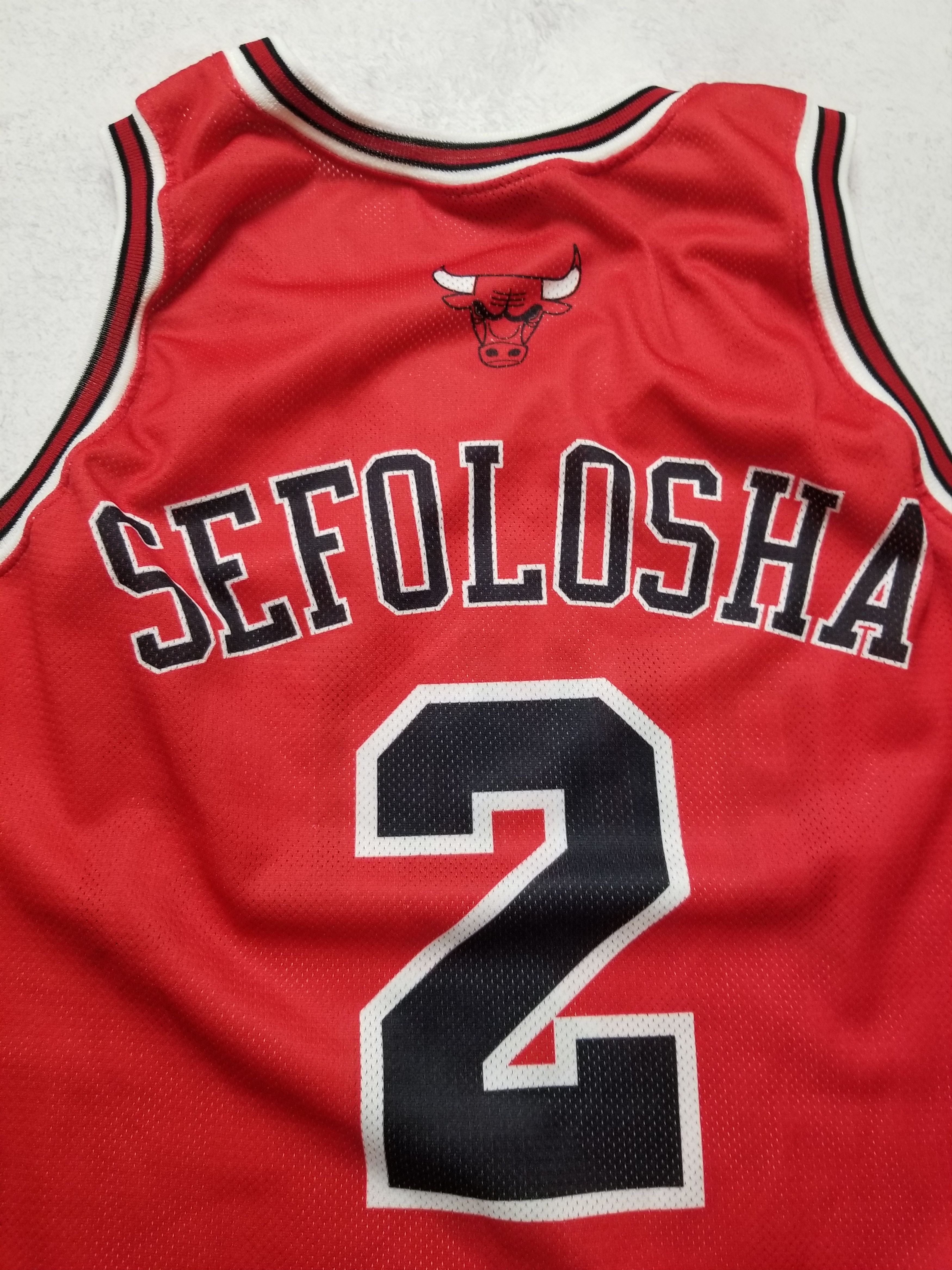 Champion VINTAGE CHAMPION #2 THABO SEFOLOSHA CHICAGO BULLS JERSEY Size US M / EU 48-50 / 2 - 6 Thumbnail