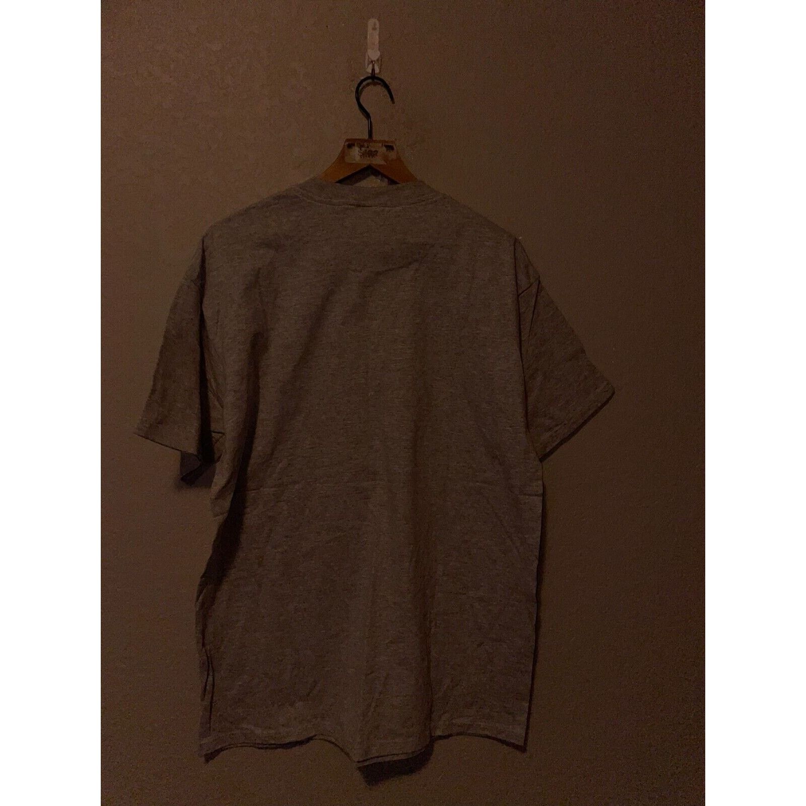 Jerzees Vintage Amish Country Shirt Pennsylvania Gray Tee 90s L Size US L / EU 52-54 / 3 - 8 Thumbnail