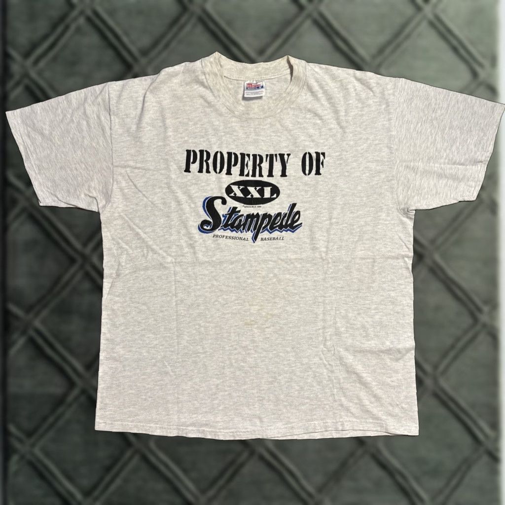 Hanes VINTAGE 1999 San Bernardino Stampede MiLB Minor League Baseball Angels XL Shirt Mens Gray Size US XL / EU 56 / 4 - 1 Thumbnail