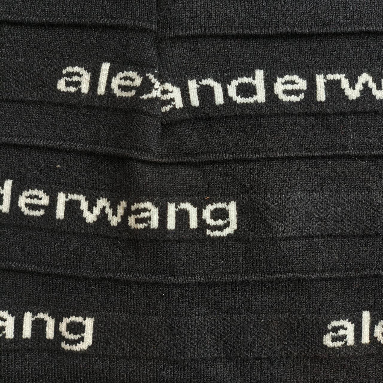 Alexander Wang Alexander Wang Mini Dress Size 26" / US 2 / IT 38 - 4 Thumbnail