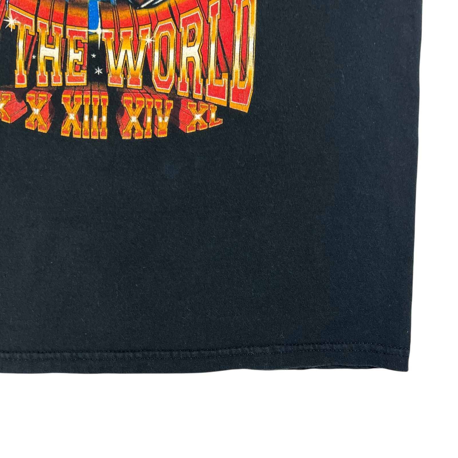 Gildan × NFL × Vintage 2005 Pittsburgh Steelers Champions of the world faded tee Size US L / EU 52-54 / 3 - 3 Thumbnail