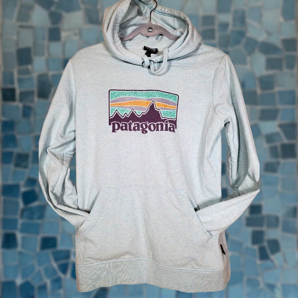 Patagonia Patagonia Sweatshirt Pullover Hoody Logo Heather Blue Women Size M Size M / US 6-8 / IT 42-44 - 1 Thumbnail
