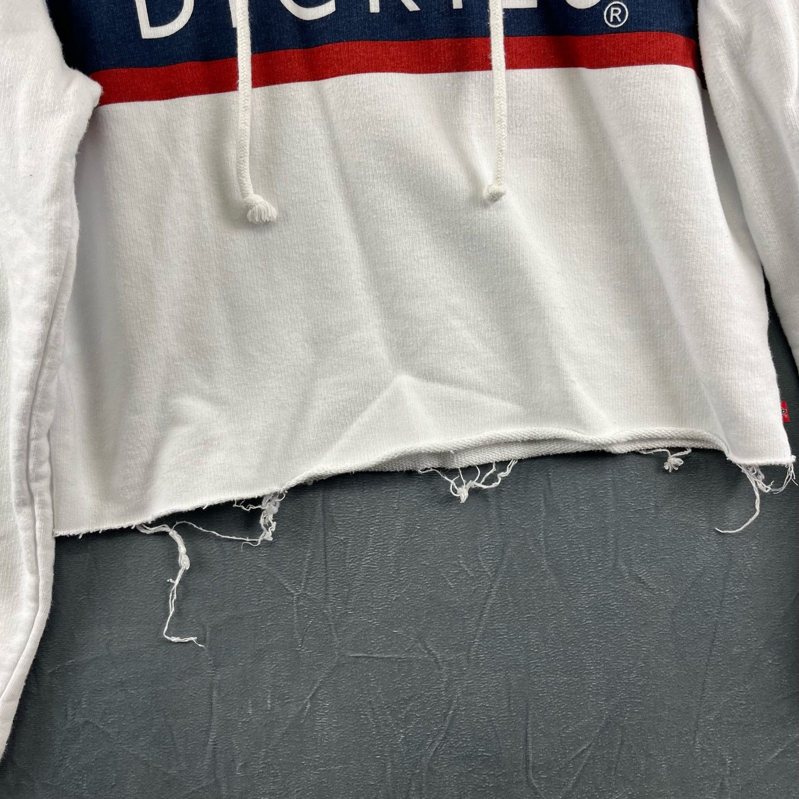 Dickies Dickies Raw Hem Crop Top Hoodie Sweatshirt Logo Skater Size M / US 6-8 / IT 42-44 - 2 Thumbnail