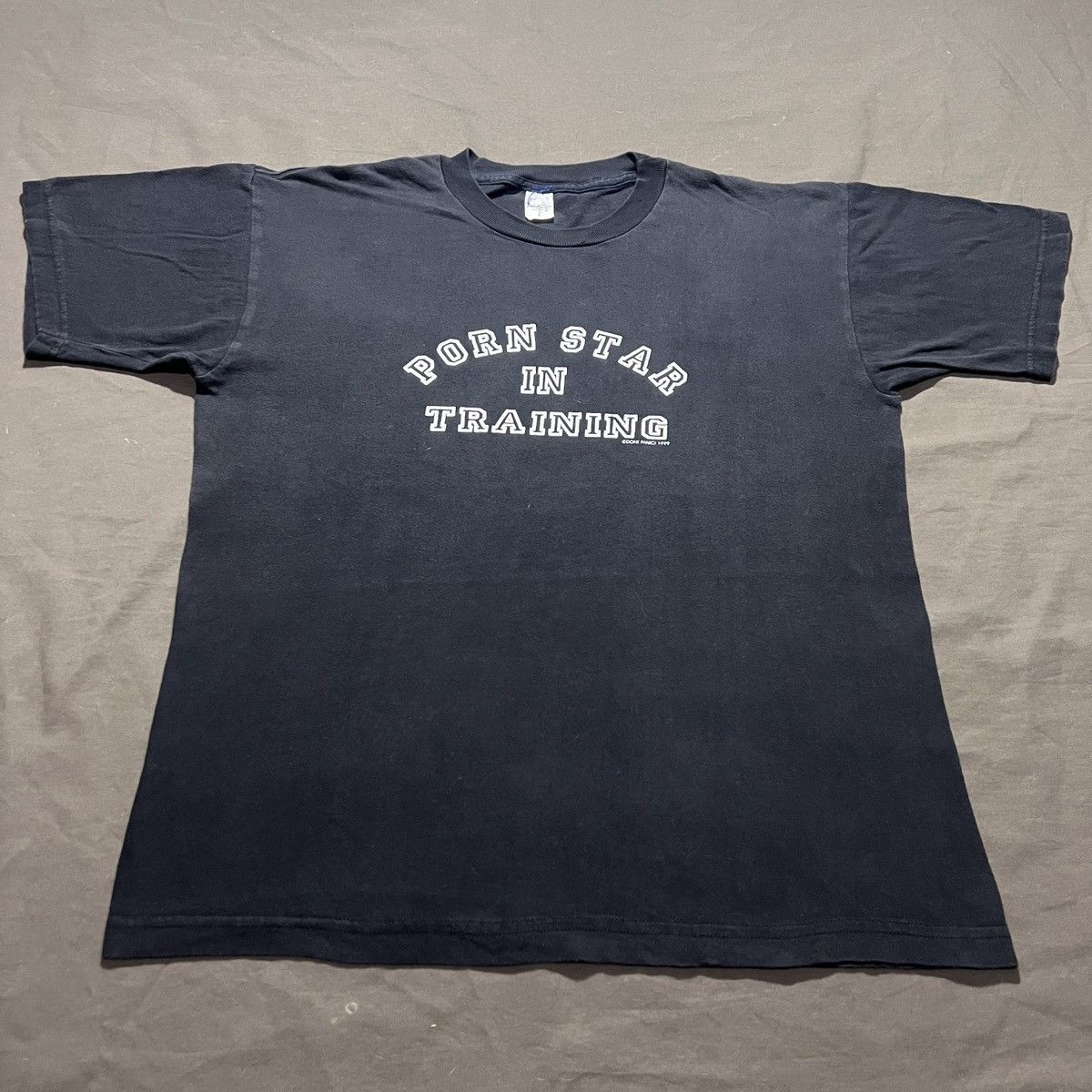 Vintage 90s Porn Star In Training Dont Panic Graphic Tee