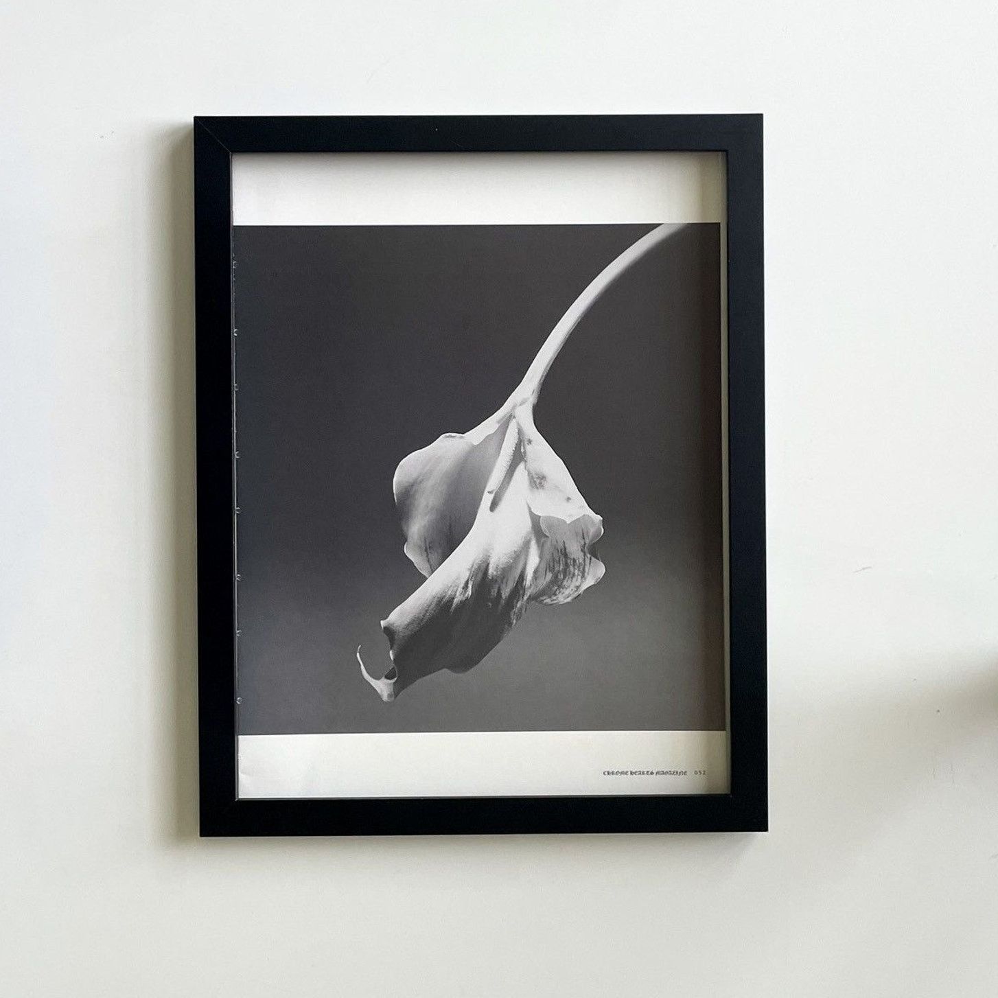 Chrome Hearts × Japanese Brand × Vintage Chrome Hearts flower photo Poster framed 9x11 Size ONE SIZE - 1 Thumbnail