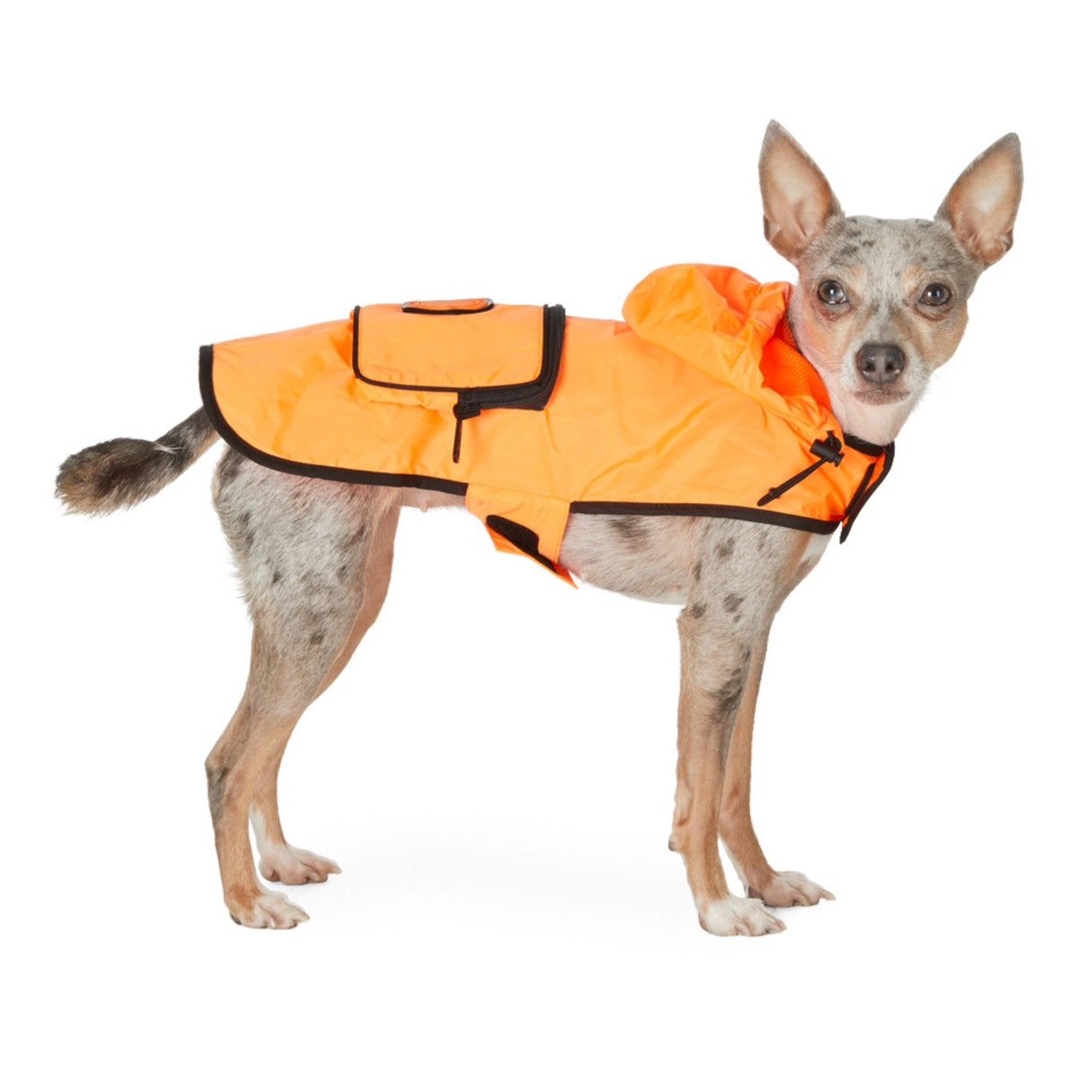 Moncler × Moncler Genius Moncler Genius x Poldo Dog Jacket Orange Size ONE SIZE - 5 Thumbnail