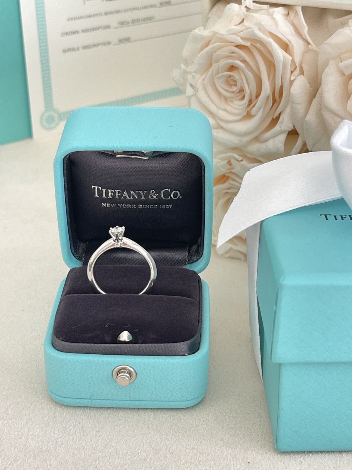 Tiffany & Co. Tiffany & Co. Solitaire Engagement Ring .19 ct sz 6 Size ONE SIZE - 10 Thumbnail