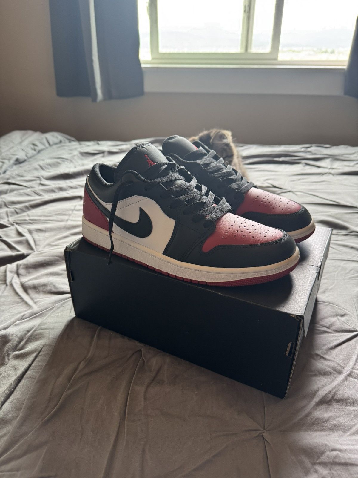 Jordan 1 low