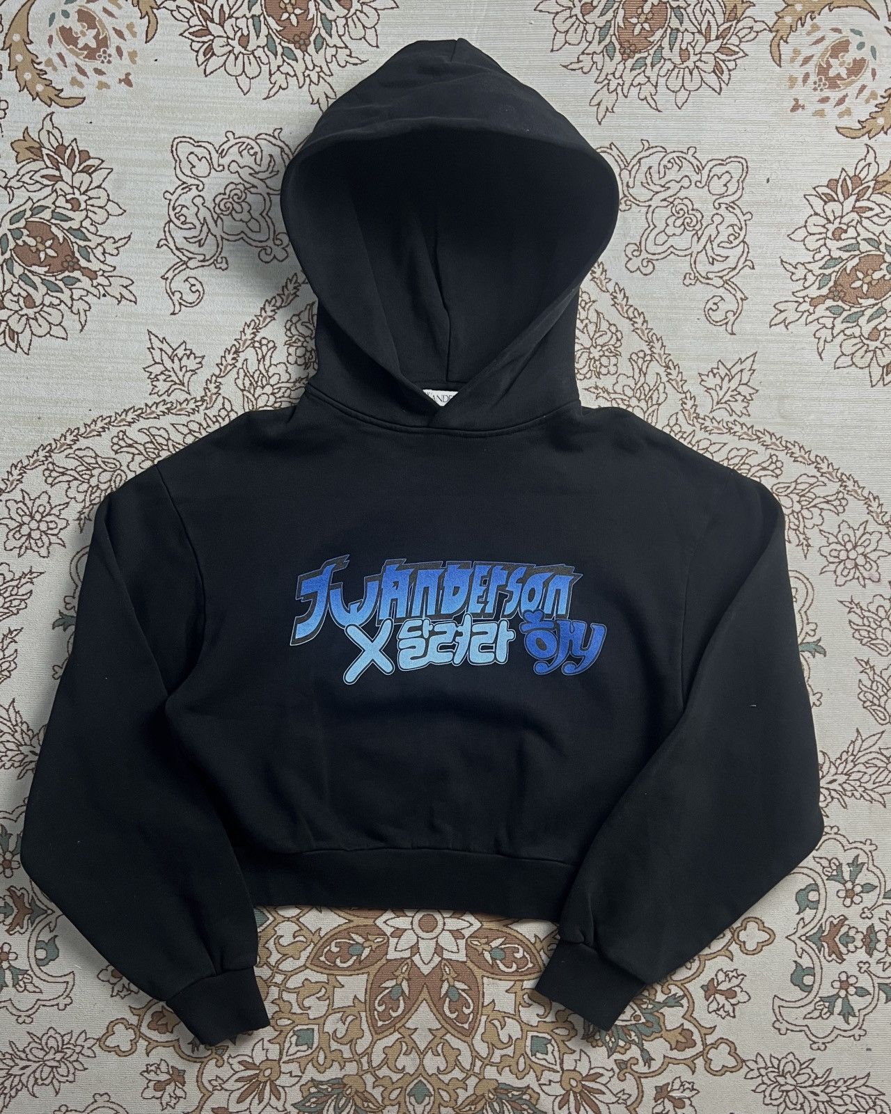 JW Anderson JW Anderson X Run Hany Cropped Hoodie Size M / US 6-8 / IT 42-44 - 1 Thumbnail