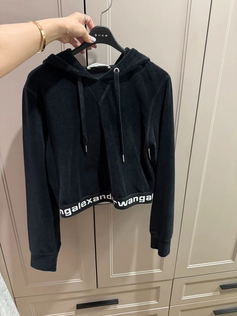 Alexander Wang Alexander Wang Cropped Logo Velour Hoodie- Size S / US 4 / IT 40 - 1 Thumbnail