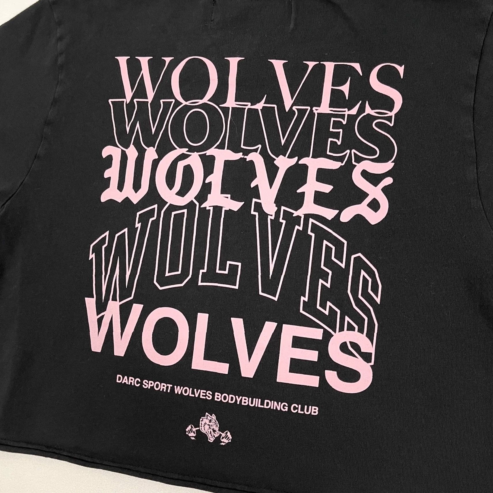 Darc Sport Darc Sports Wolves Forever Shirt Womens Medium Crop Active Fitness Gym /500 Rare Size M / US 6-8 / IT 42-44 - 3 Thumbnail