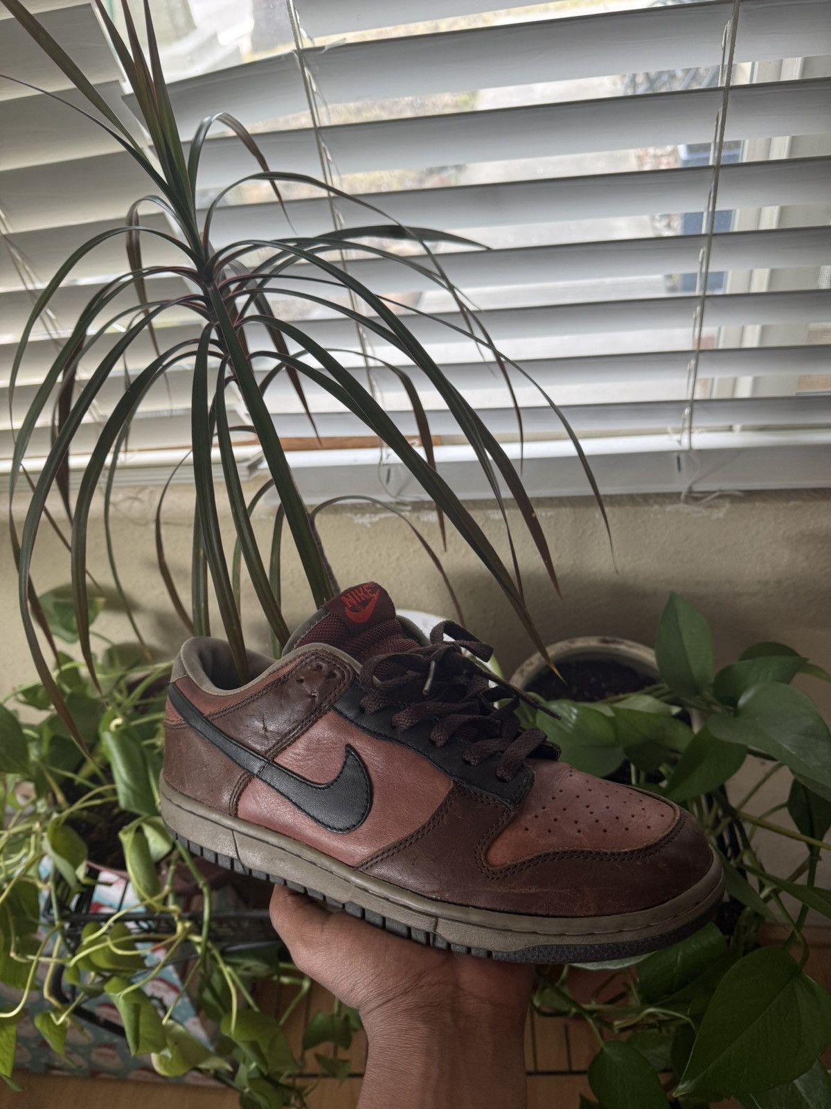 Nike 2005 Nike Dunk Low “Redwood Baroque Brown” Size US 8.5 / EU 41-42 - 1 Thumbnail