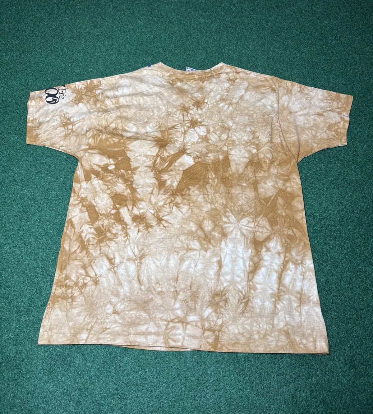 Liquid Blue Vintage Liquid Blue Lion Lioness Erie Zoo Safari L T Shirt Size US L / EU 52-54 / 3 - 6 Thumbnail