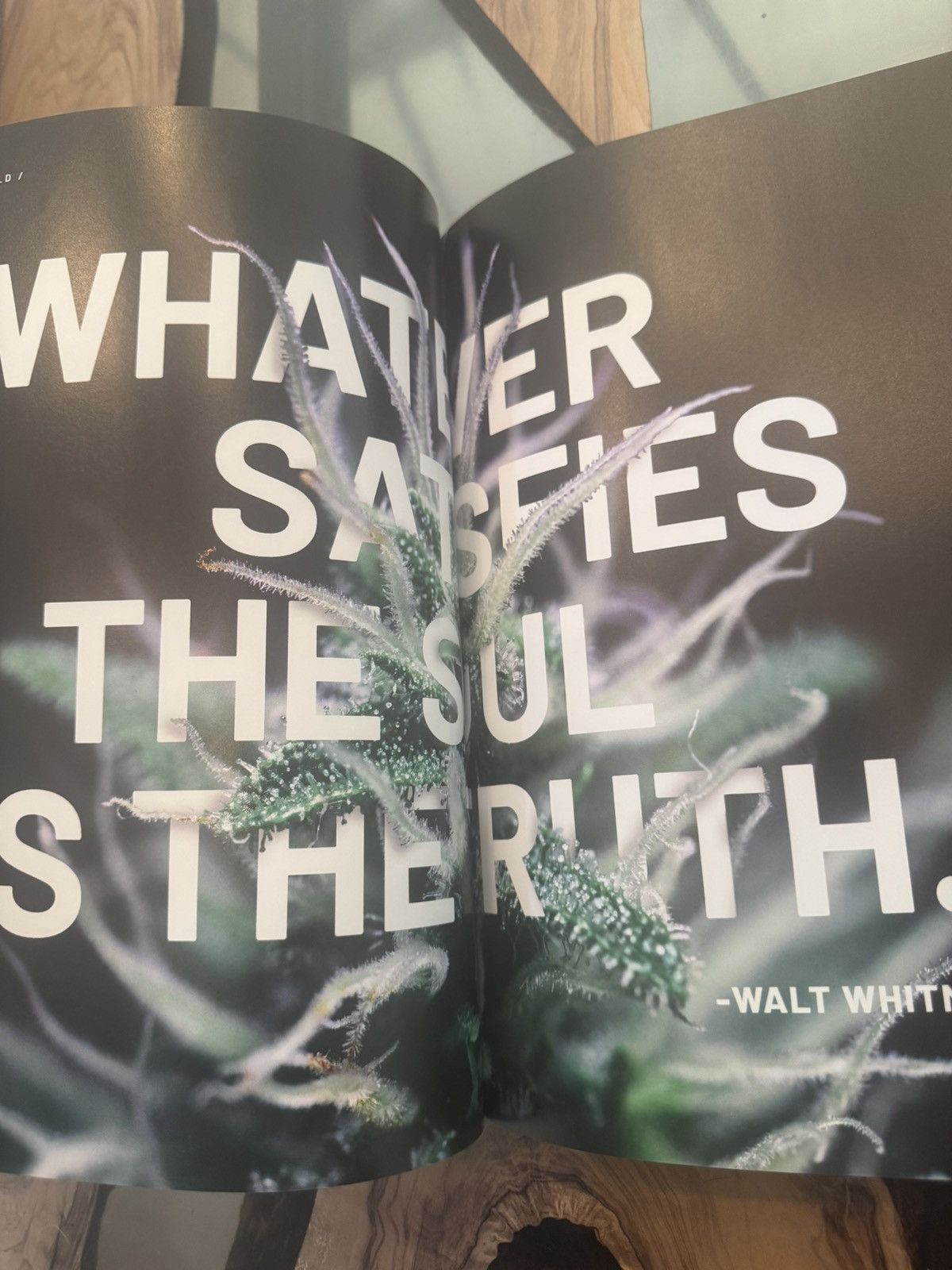 Wiz Khalifa California Hiii Marijuana Culture #1 Magazine (High Times) Size ONE SIZE - 15 Thumbnail