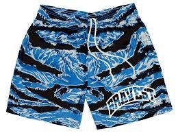 Bravest Studios Bravest studios blue tiger camo shorts Size US 30 / EU 46 - 1 Preview