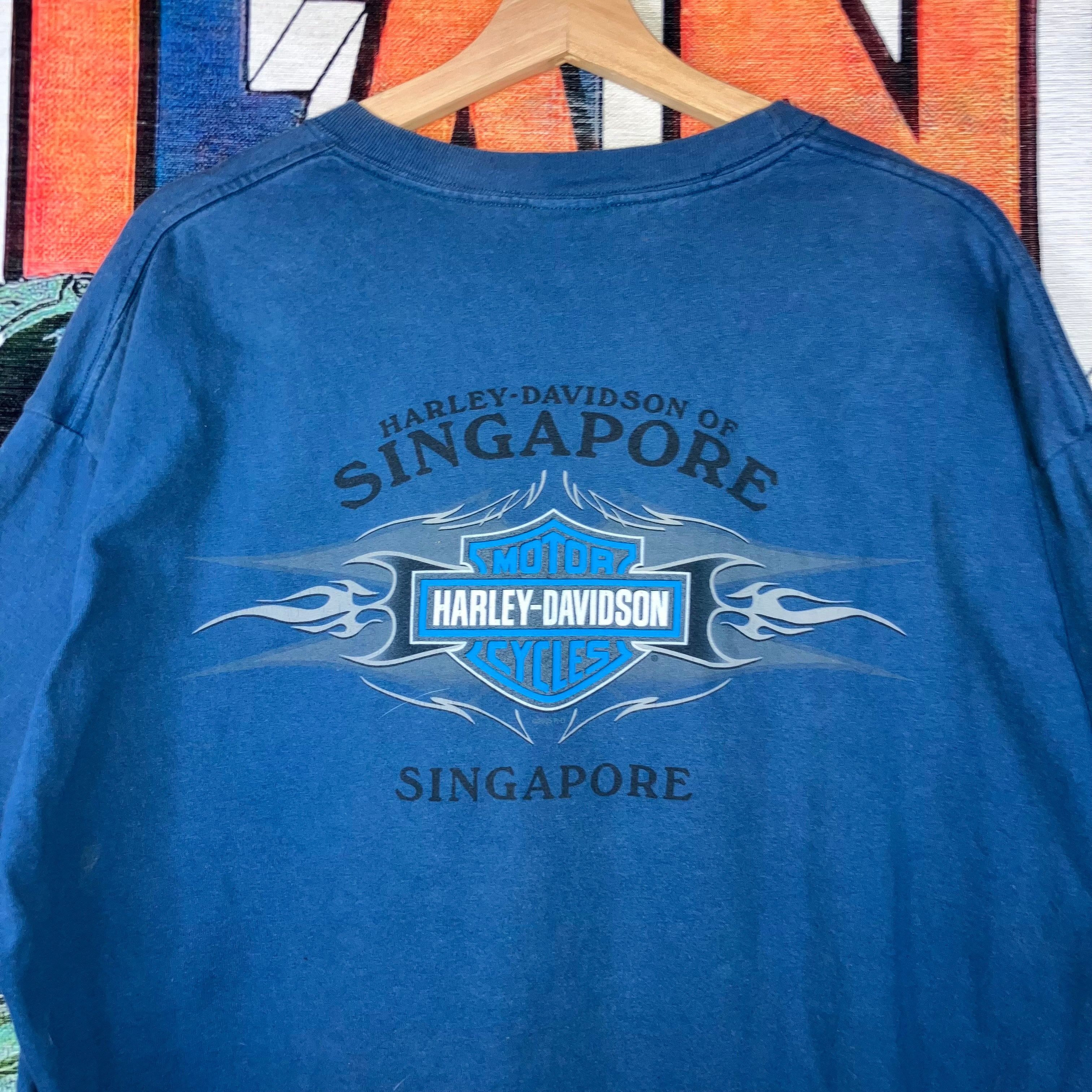 Harley Davidson × Vintage Vintage Y2K 2005 Harley Davidson Singapore Blue Flame Tee Si Size US XL / EU 56 / 4 - 8 Thumbnail