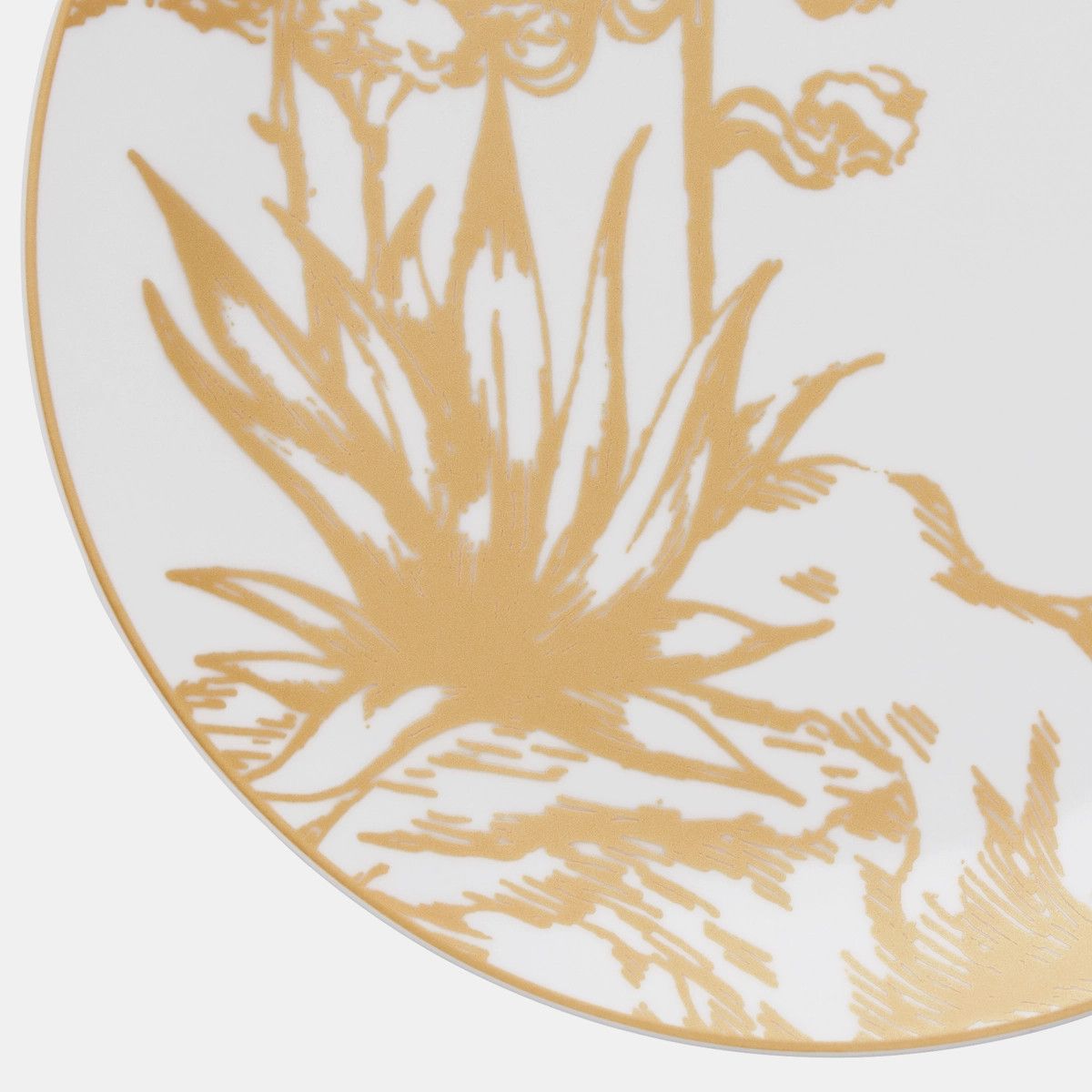 Dior o1bcso1str0624 Size: OS / 6 Set Dinner Plates in Multicolor Size ONE SIZE - 10 Thumbnail