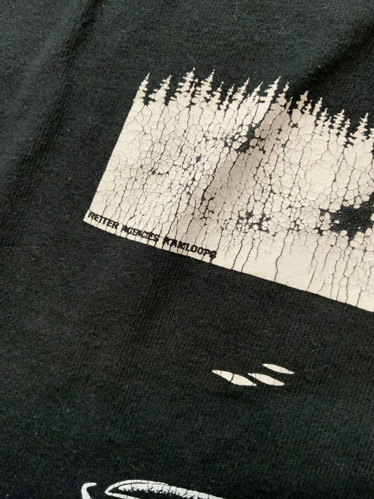 Fruit Of The Loom × Vintage VTG Telegraph Cove Whales British Columbia Canada T-Shirt Size US XL / EU 56 / 4 - 7 Thumbnail
