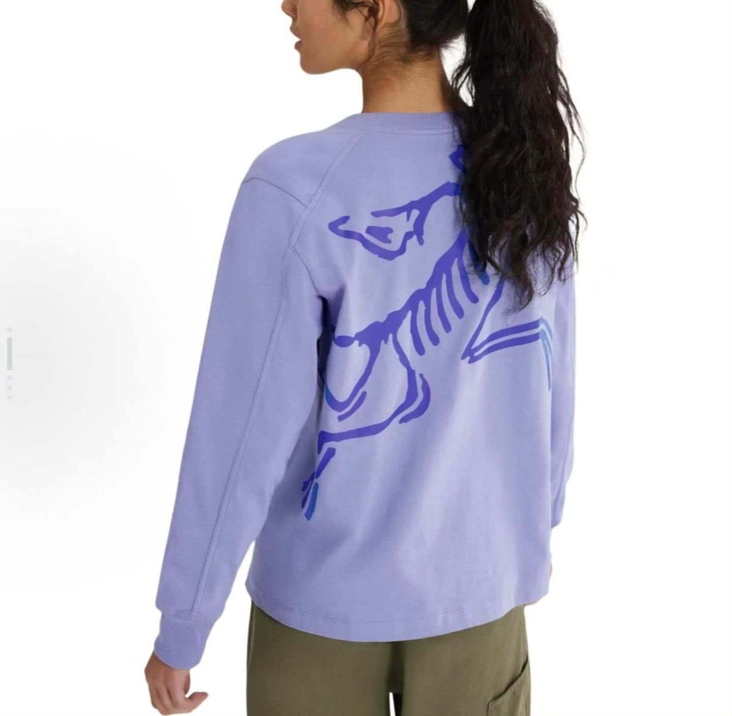 Arc'teryx Arcteryx Kragg Cotton Bird Crew Neck Shirt Size XS / US 0-2 / IT 36-38 - 1 Thumbnail