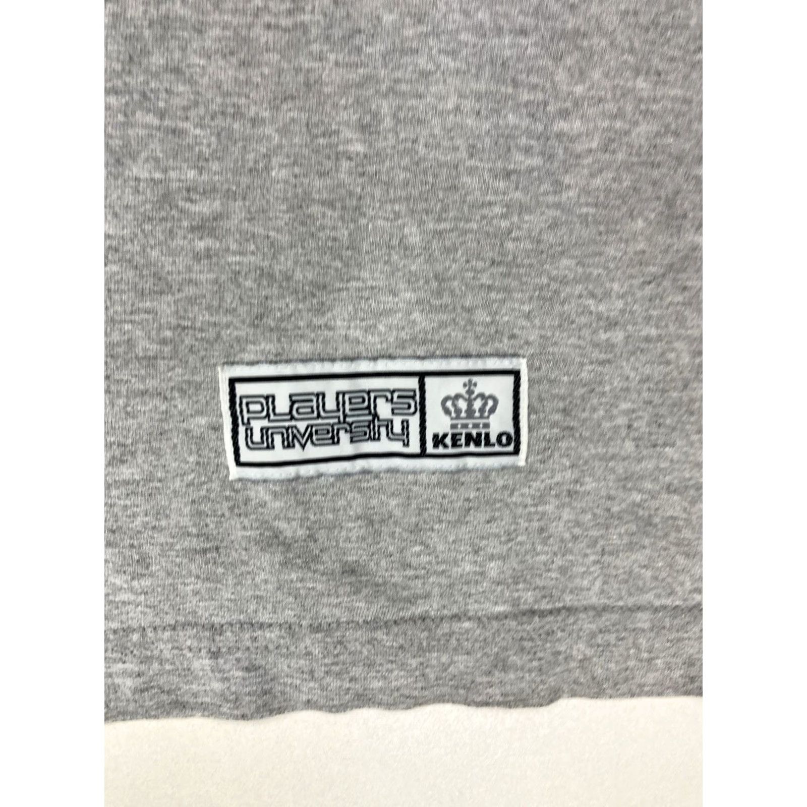 Vintage VINTAGE Players University T-Shirt Men XL Gray USA 90s Graphic Print Crew Neck Long Sleeve Hip Hop All Seasons Size US XL / EU 56 / 4 - 4 Thumbnail