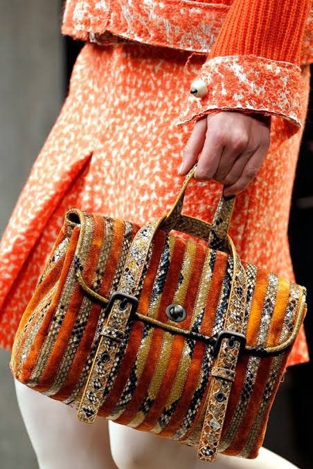 Bottega Veneta Bottega Veneta Fall 2011 Exotic Runway Handbag Size ONE SIZE - 1 Thumbnail